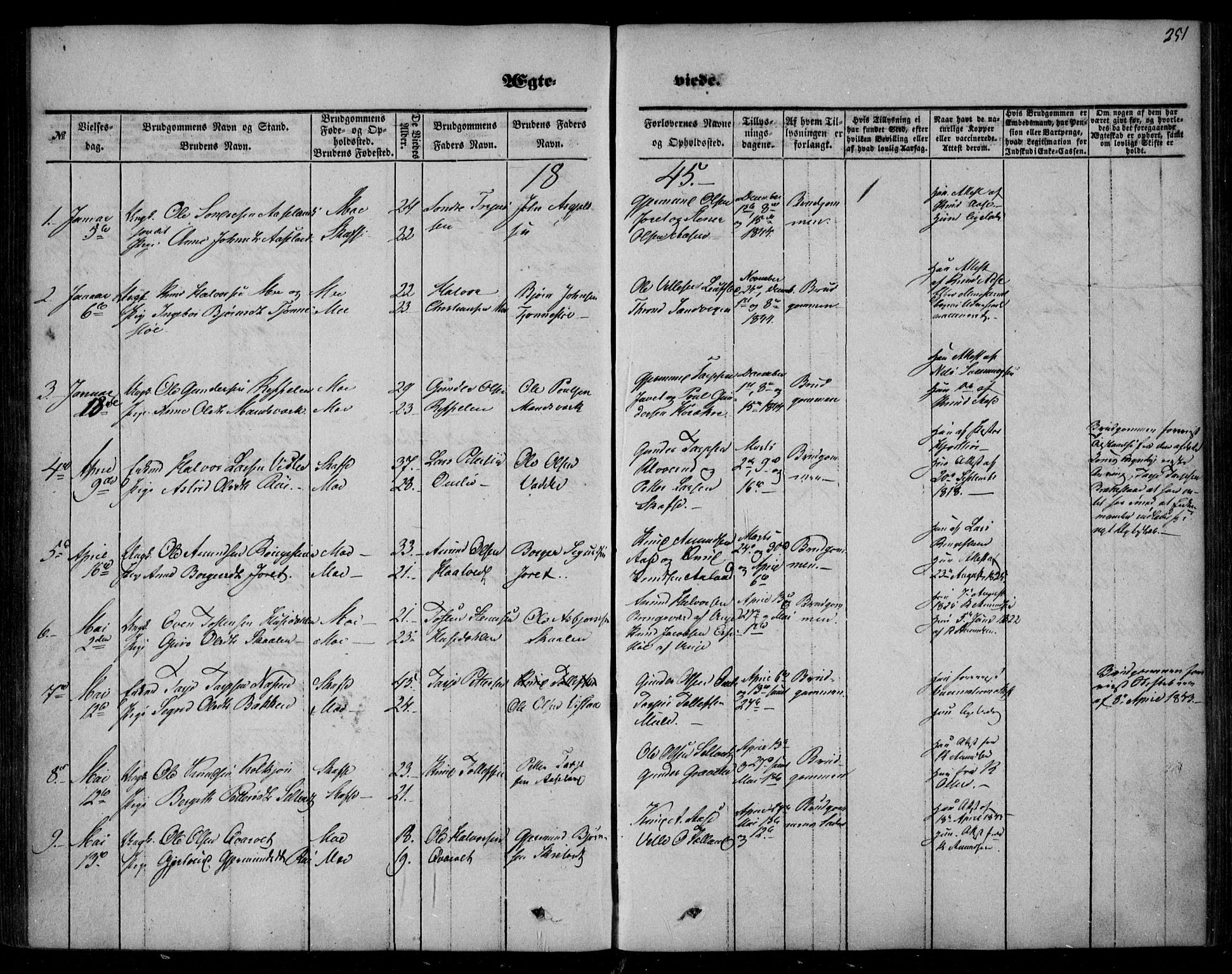 Mo kirkebøker, SAKO/A-286/F/Fa/L0005: Parish register (official) no. I 5, 1844-1864, p. 251