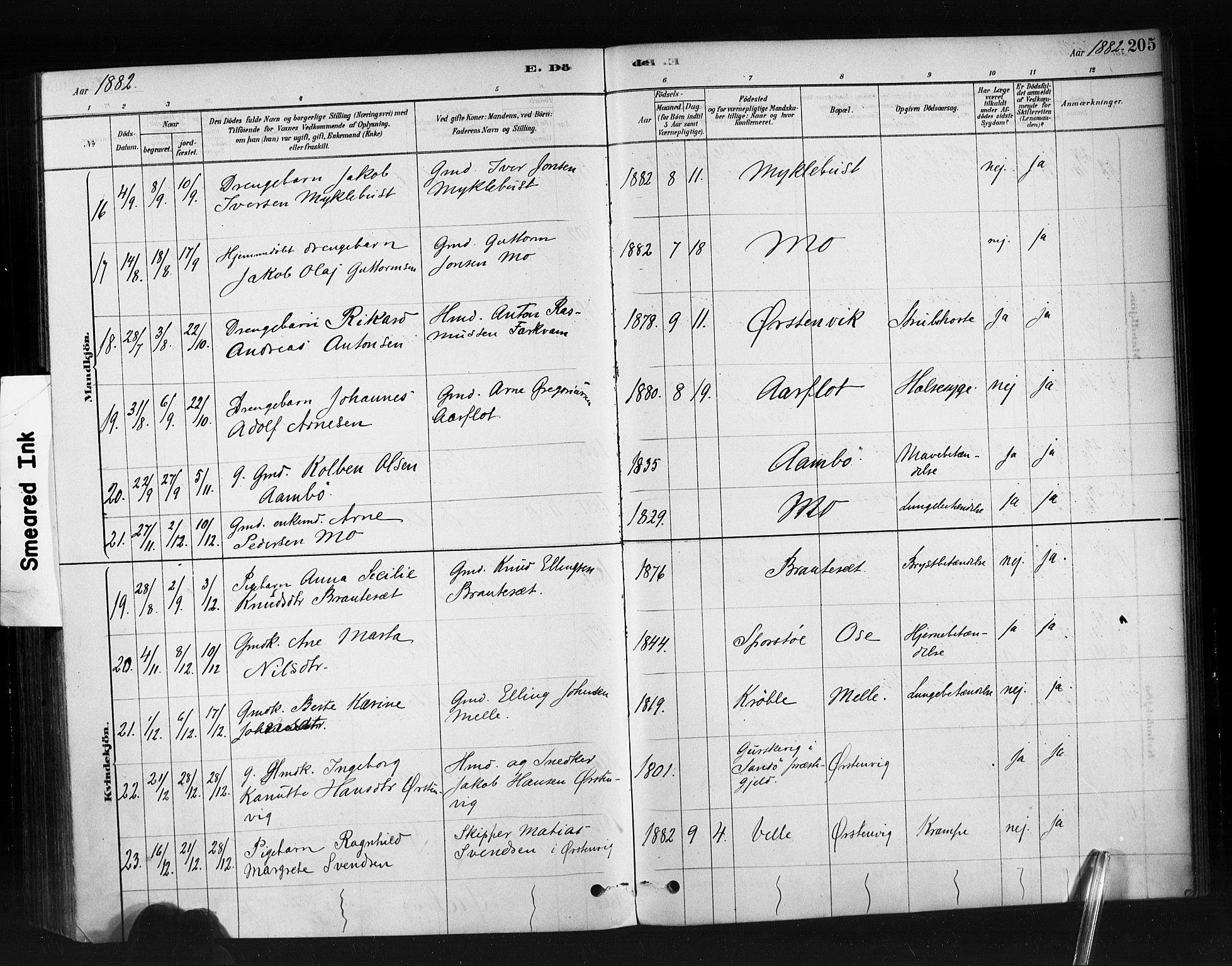 Ministerialprotokoller, klokkerbøker og fødselsregistre - Møre og Romsdal, AV/SAT-A-1454/513/L0176: Parish register (official) no. 513A03, 1877-1889, p. 205