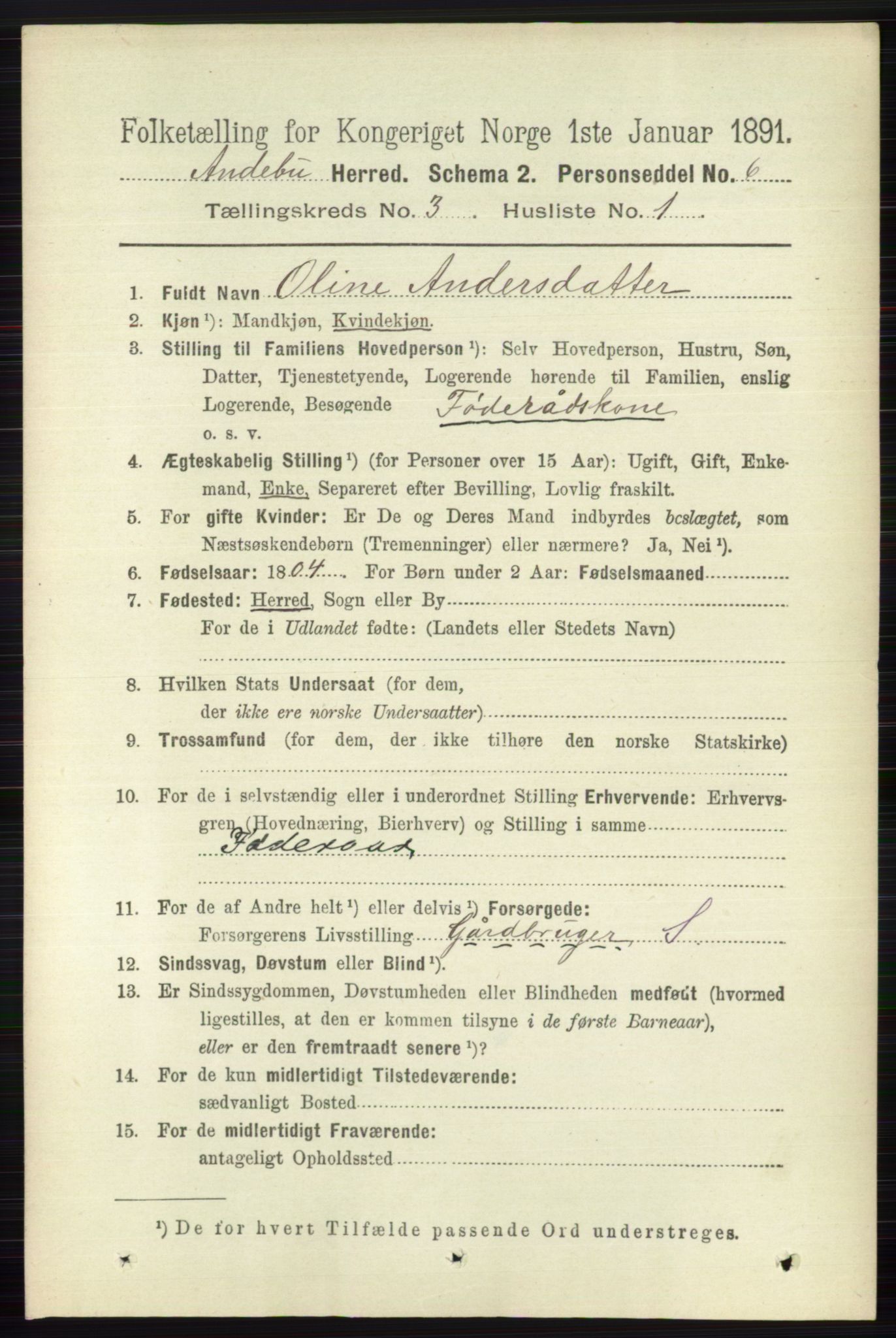 RA, 1891 census for 0719 Andebu, 1891, p. 1501