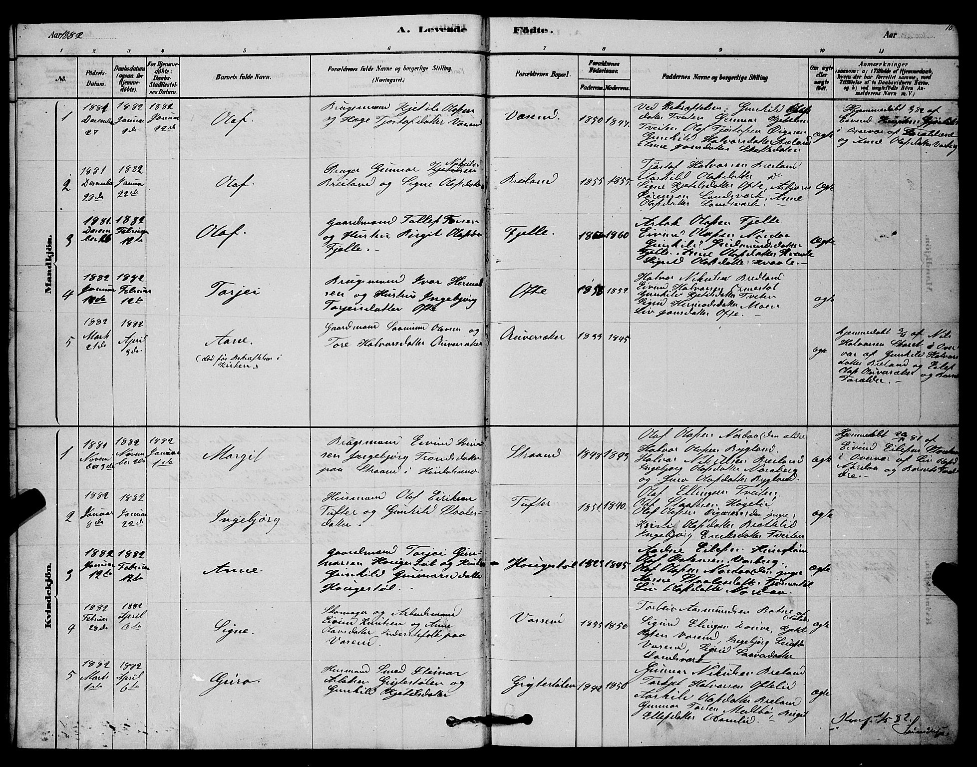 Lårdal kirkebøker, SAKO/A-284/G/Gc/L0003: Parish register (copy) no. III 3, 1878-1890, p. 10