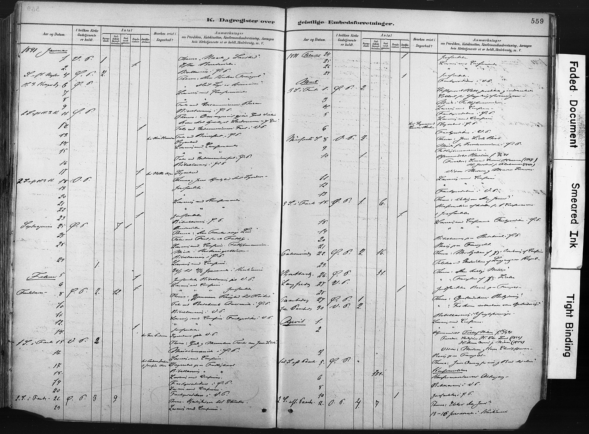 Porsgrunn kirkebøker , SAKO/A-104/F/Fa/L0008: Parish register (official) no. 8, 1878-1895, p. 559