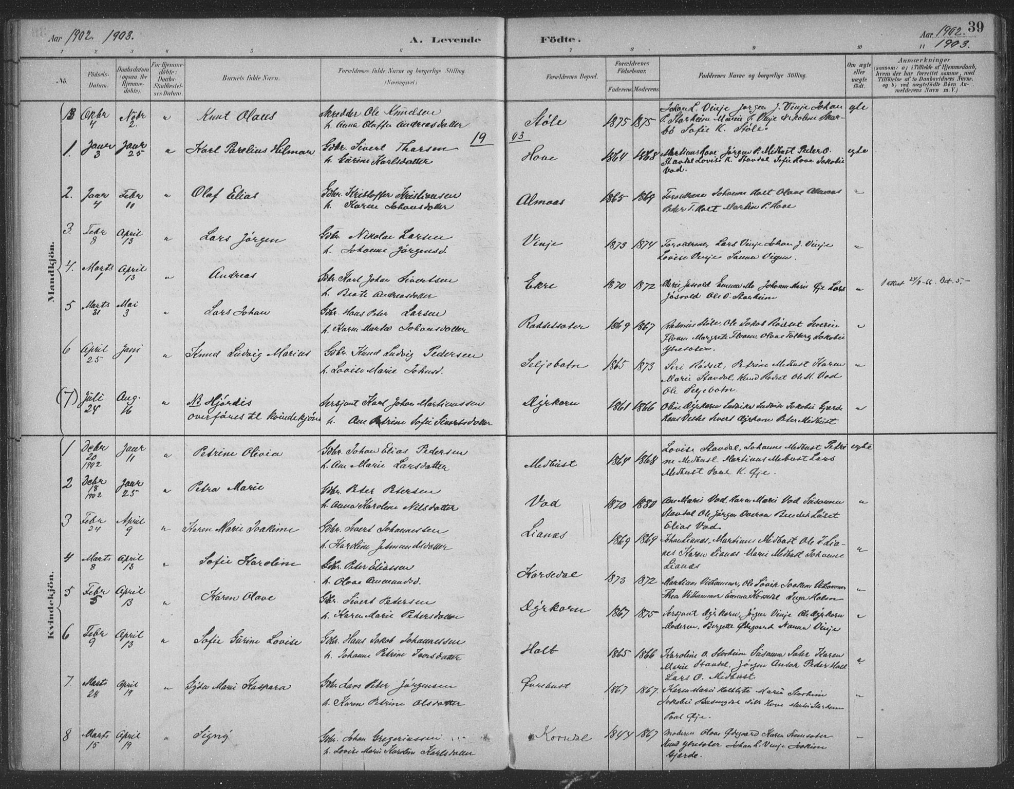 Ministerialprotokoller, klokkerbøker og fødselsregistre - Møre og Romsdal, SAT/A-1454/521/L0299: Parish register (official) no. 521A01, 1882-1907, p. 39