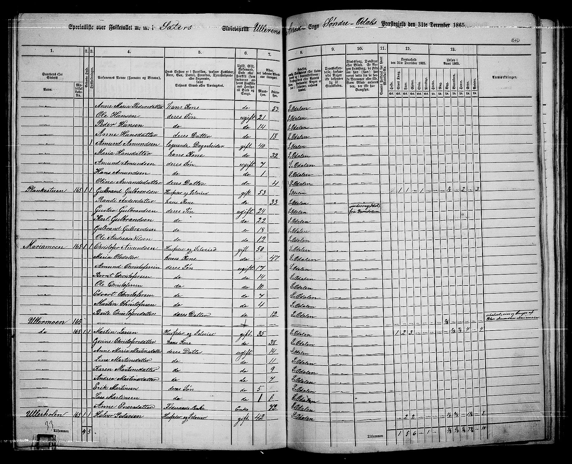 RA, 1865 census for Sør-Odal, 1865, p. 216