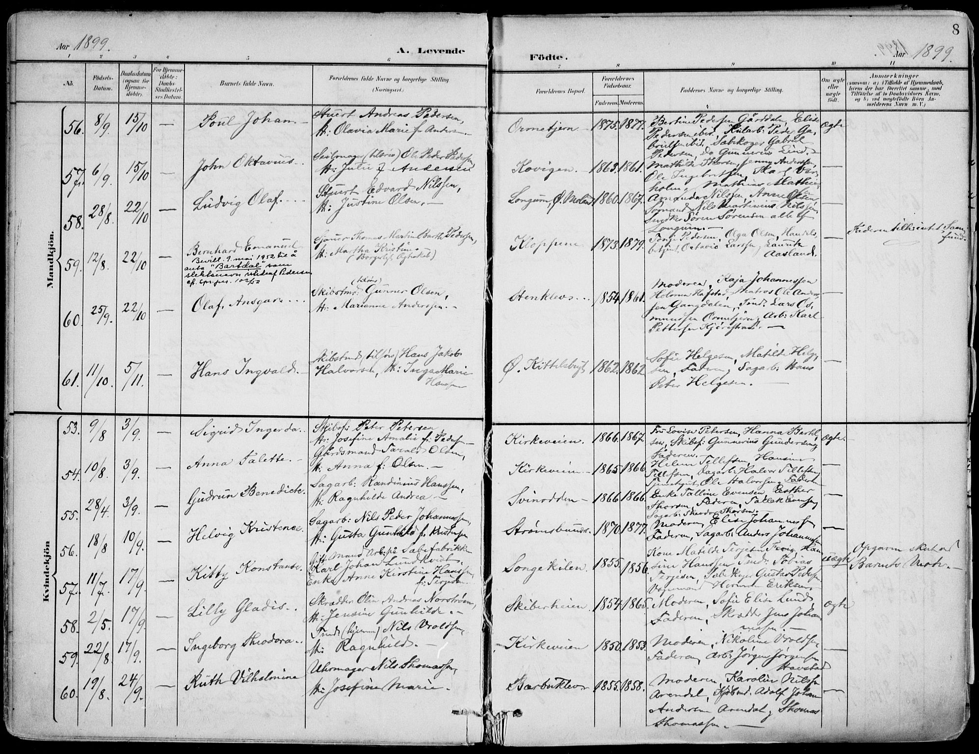 Barbu sokneprestkontor, AV/SAK-1111-0003/F/Fa/L0005: Parish register (official) no. A 5, 1899-1909, p. 8