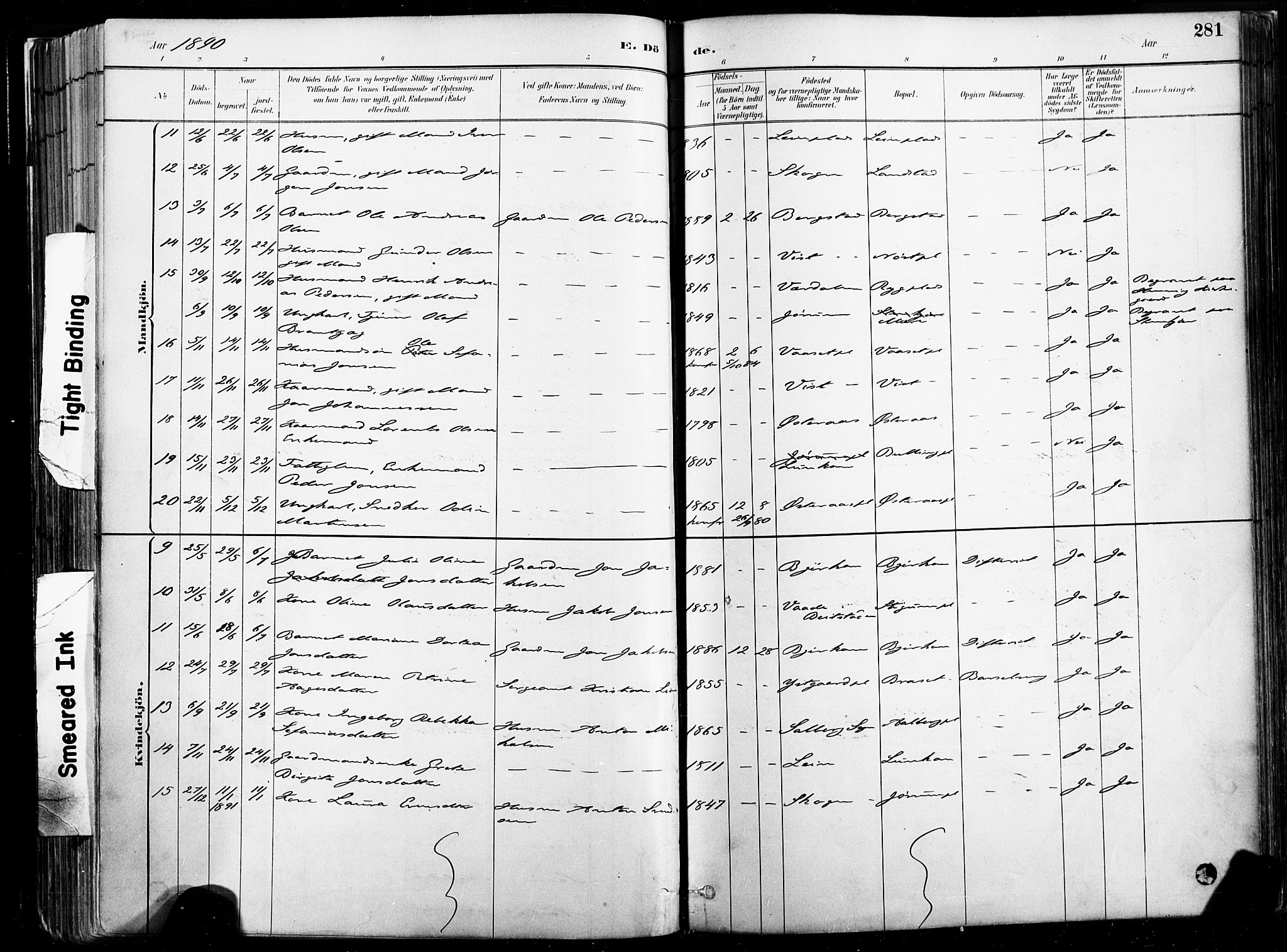 Ministerialprotokoller, klokkerbøker og fødselsregistre - Nord-Trøndelag, SAT/A-1458/735/L0351: Parish register (official) no. 735A10, 1884-1908, p. 281