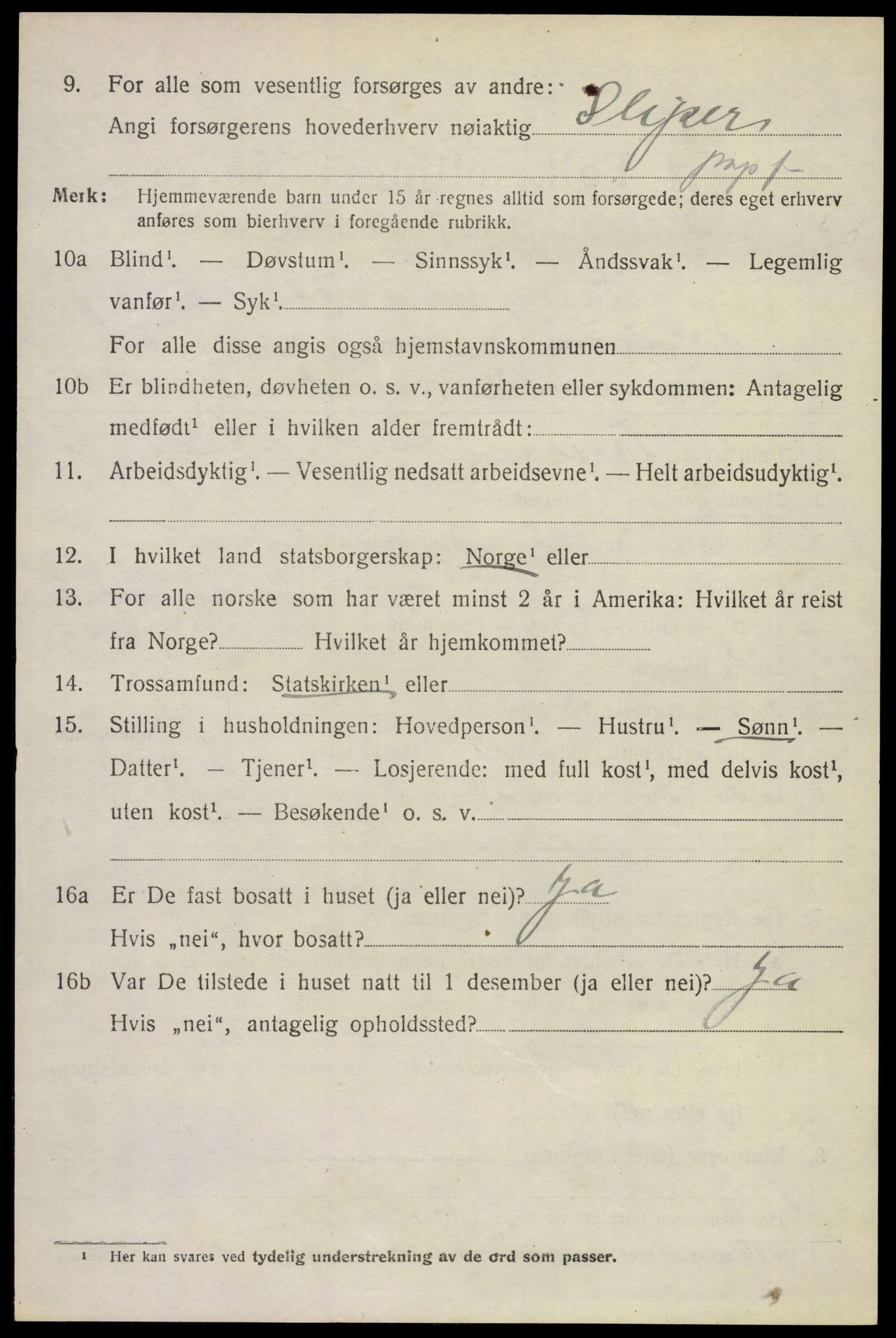 SAKO, 1920 census for Solum, 1920, p. 4191