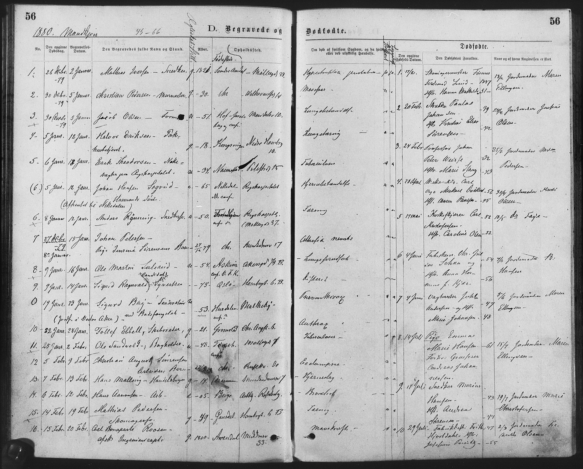 Trefoldighet prestekontor Kirkebøker, SAO/A-10882/F/Fd/L0002: Parish register (official) no. IV 2, 1877-1885, p. 56