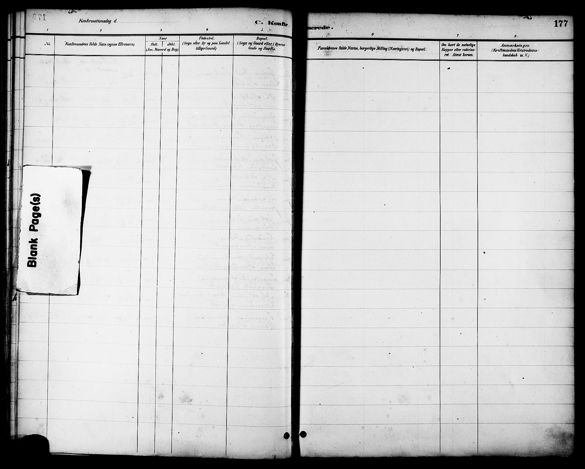 Ministerialprotokoller, klokkerbøker og fødselsregistre - Nordland, AV/SAT-A-1459/863/L0898: Parish register (official) no. 863A10, 1886-1897, p. 177