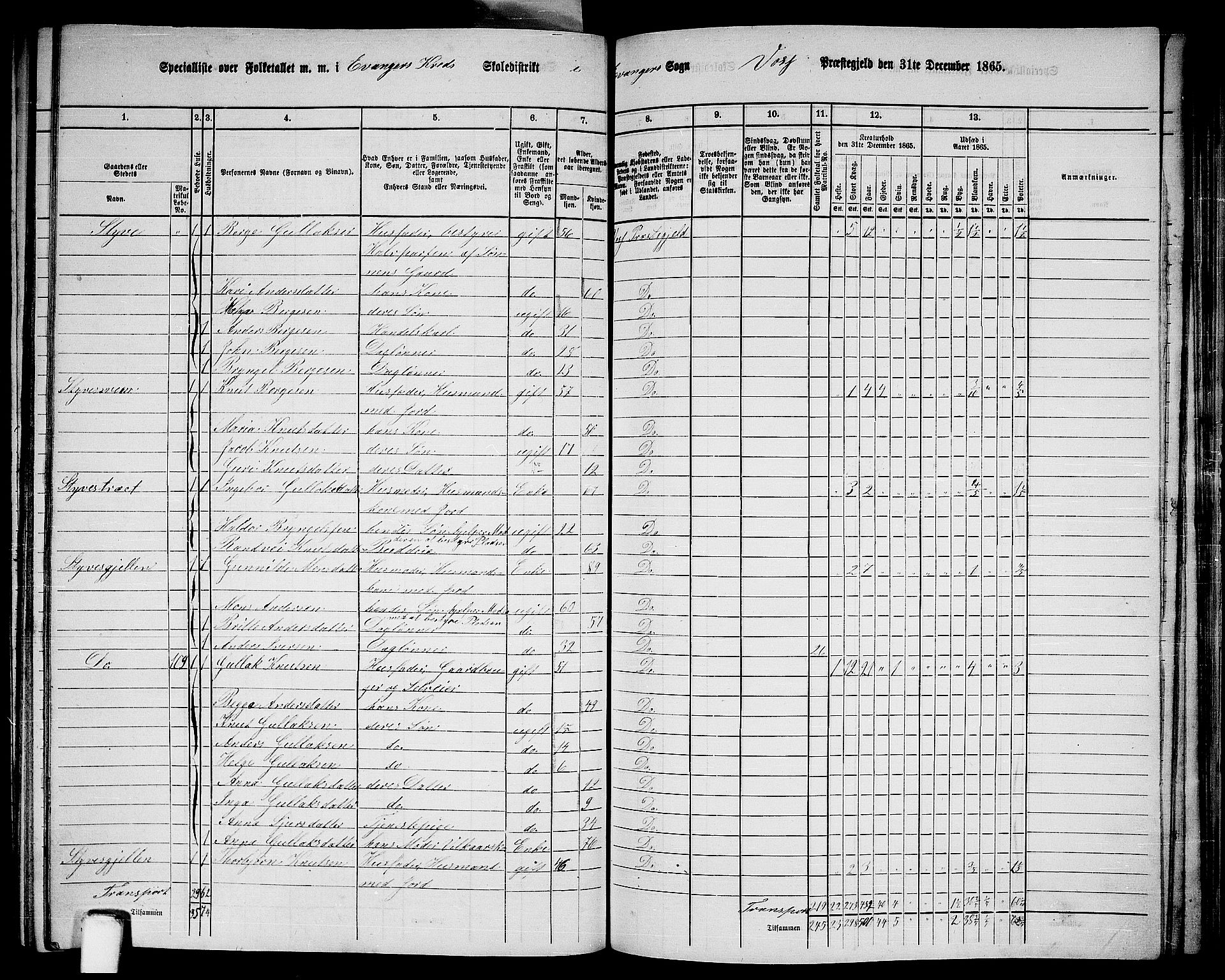 RA, 1865 census for Voss, 1865, p. 364