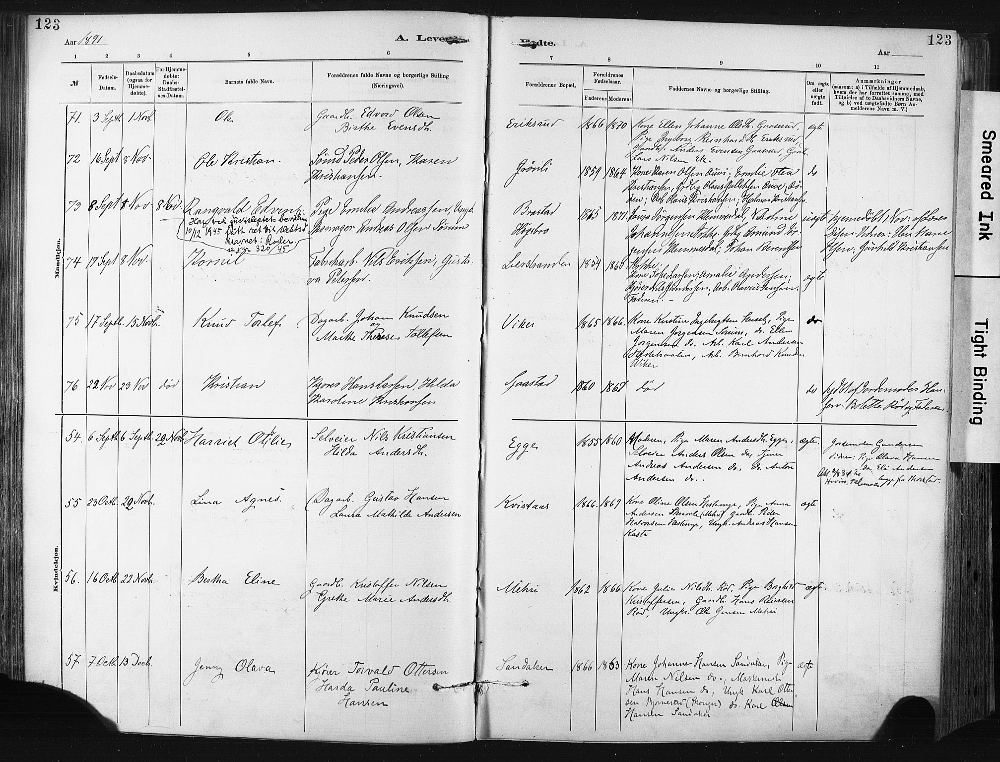 Lier kirkebøker, SAKO/A-230/F/Fa/L0015: Parish register (official) no. I 15, 1883-1894, p. 123