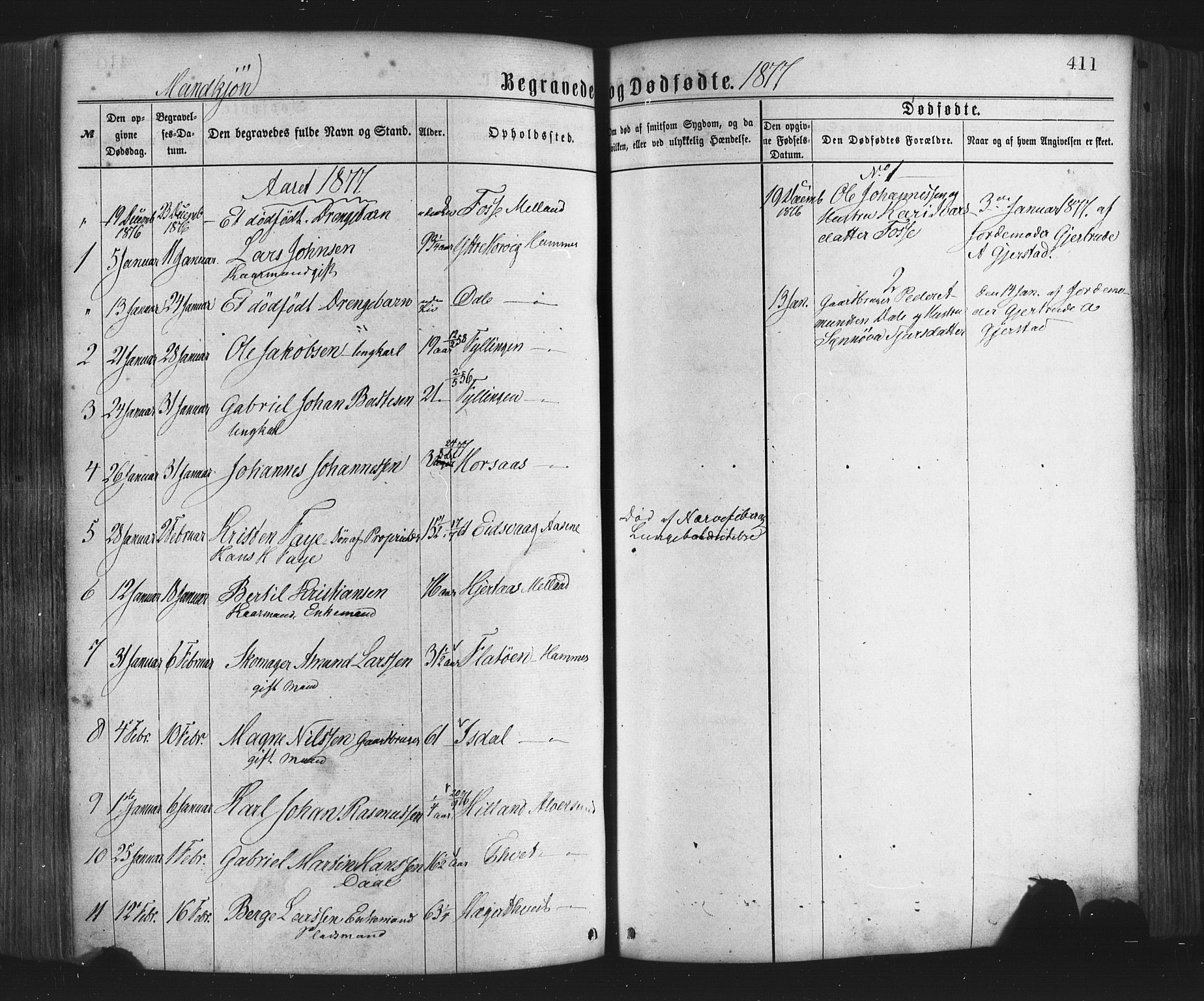 Hamre sokneprestembete, SAB/A-75501/H/Ha/Haa/Haaa/L0015: Parish register (official) no. A 15, 1870-1881, p. 411