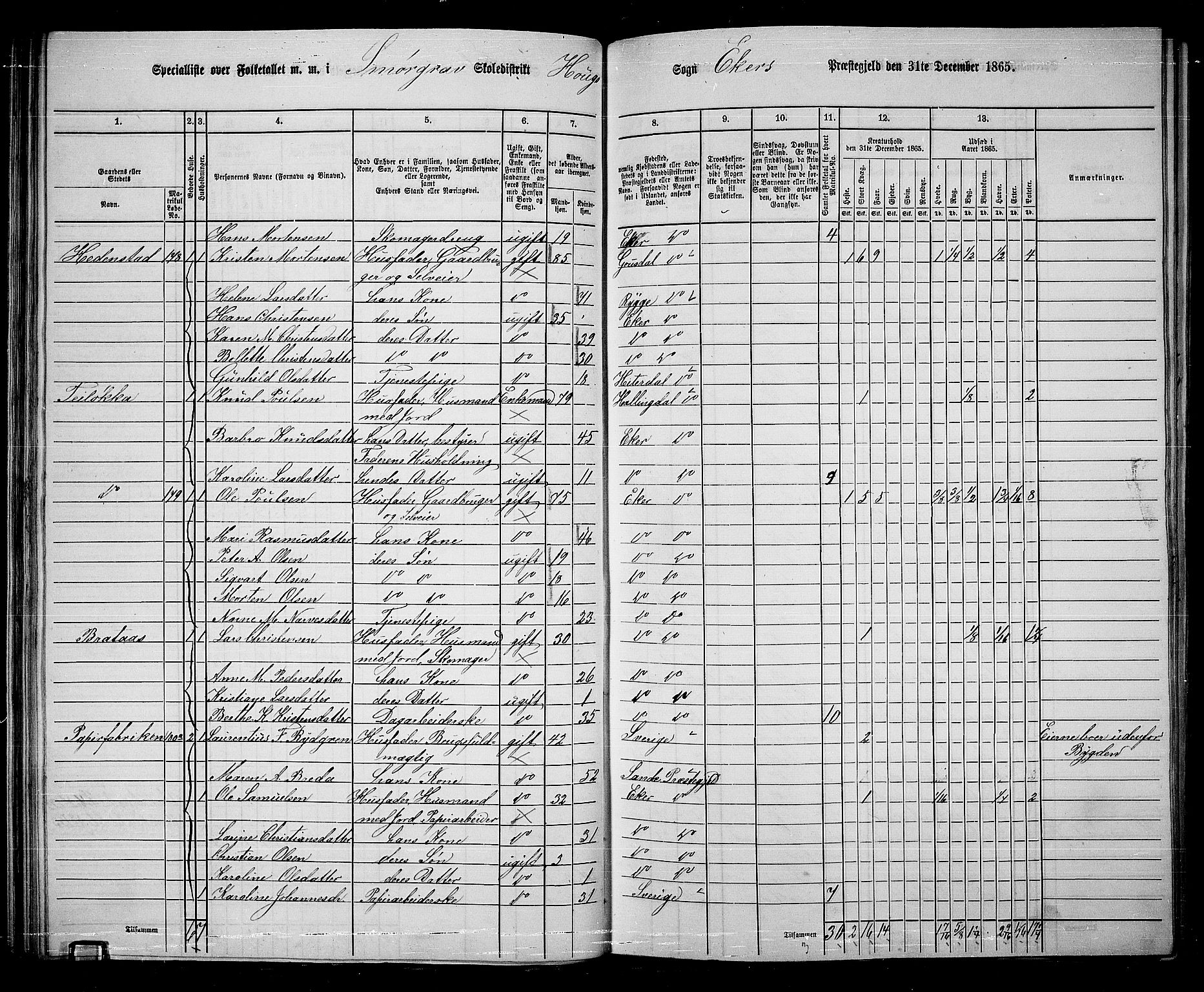 RA, 1865 census for Eiker, 1865, p. 58