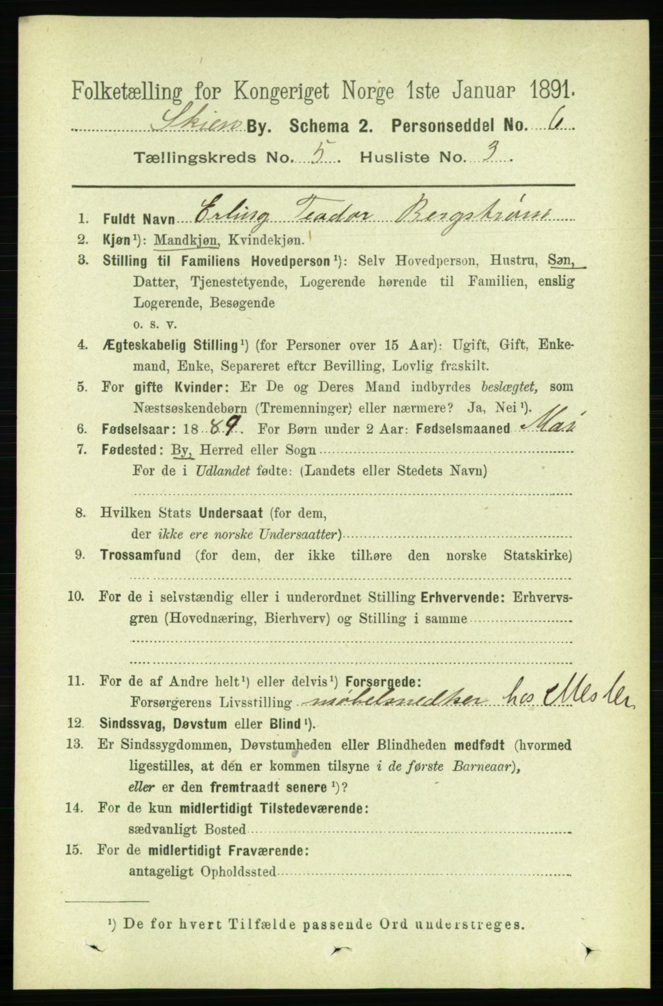 RA, 1891 census for 0806 Skien, 1891, p. 2908