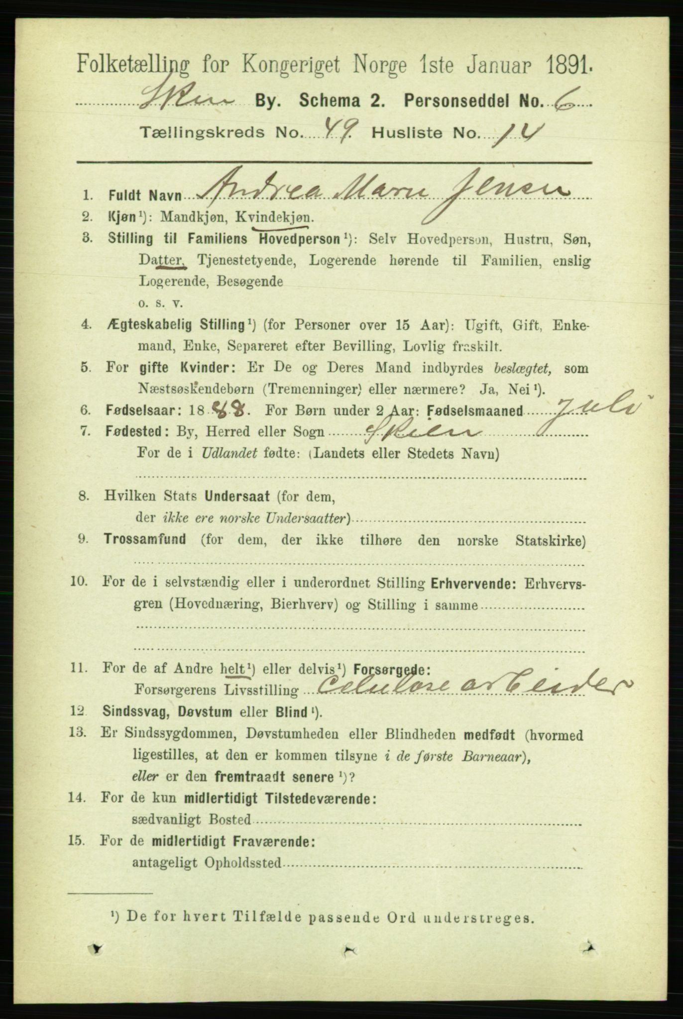 RA, 1891 census for 0806 Skien, 1891, p. 10451