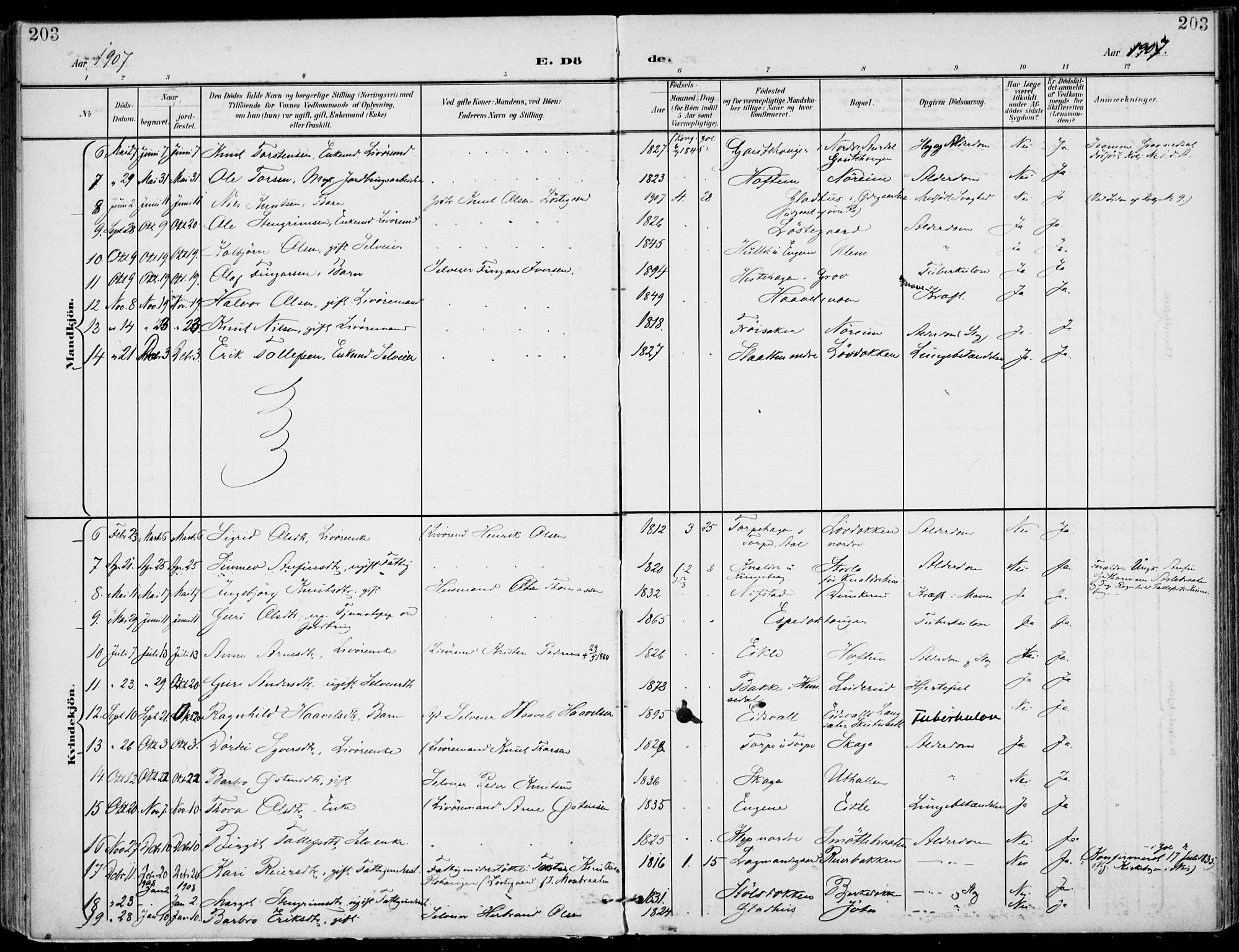 Gol kirkebøker, AV/SAKO-A-226/F/Fa/L0006: Parish register (official) no. I 6, 1901-1918, p. 203