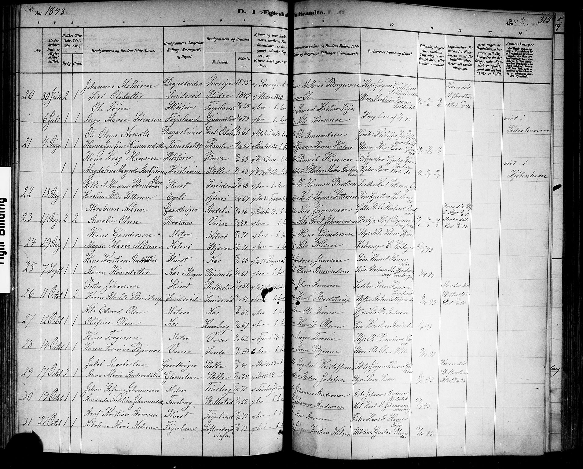 Nøtterøy kirkebøker, AV/SAKO-A-354/F/Fa/L0008: Parish register (official) no. I 8, 1878-1893, p. 313