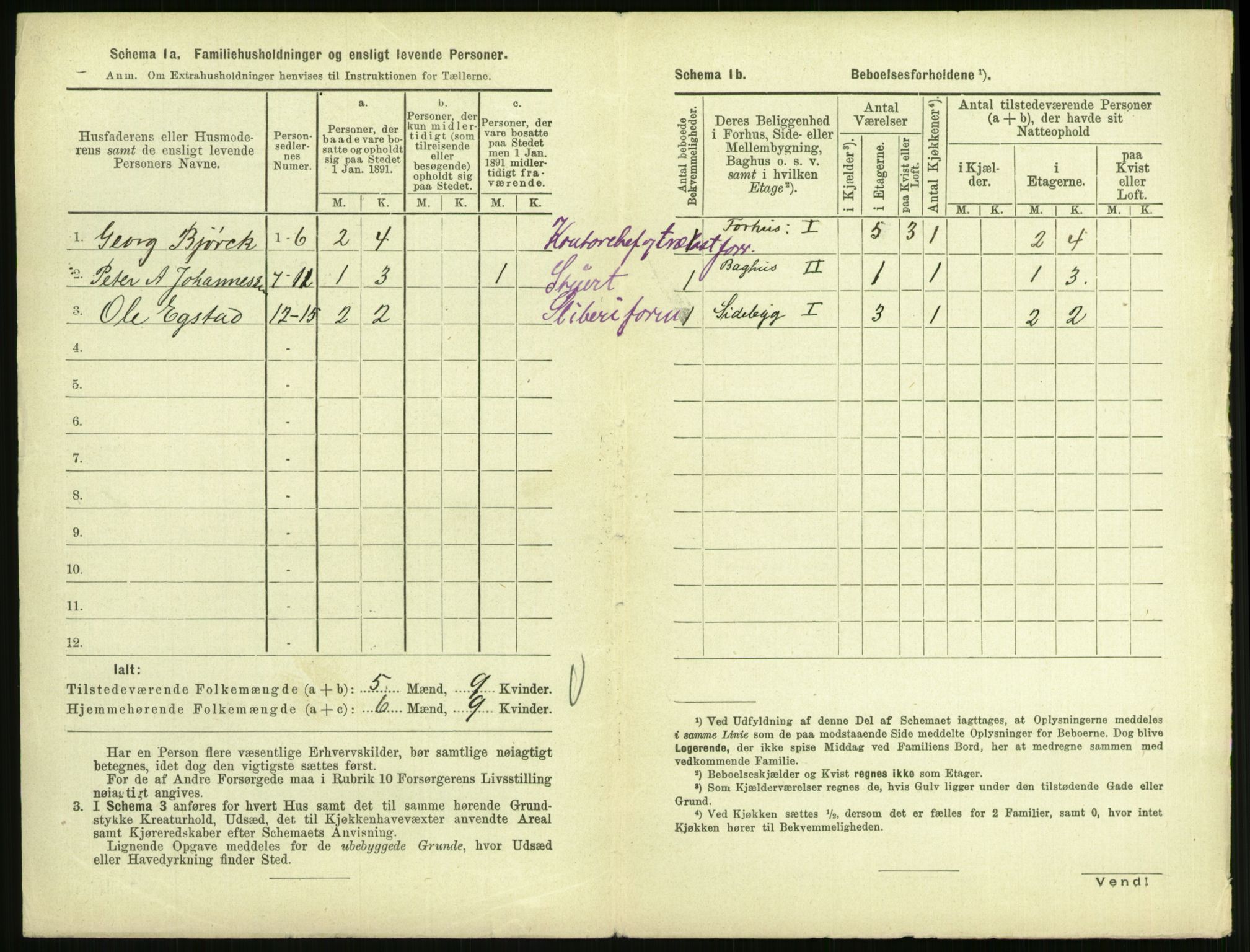 RA, 1891 census for 0707 Larvik, 1891, p. 908