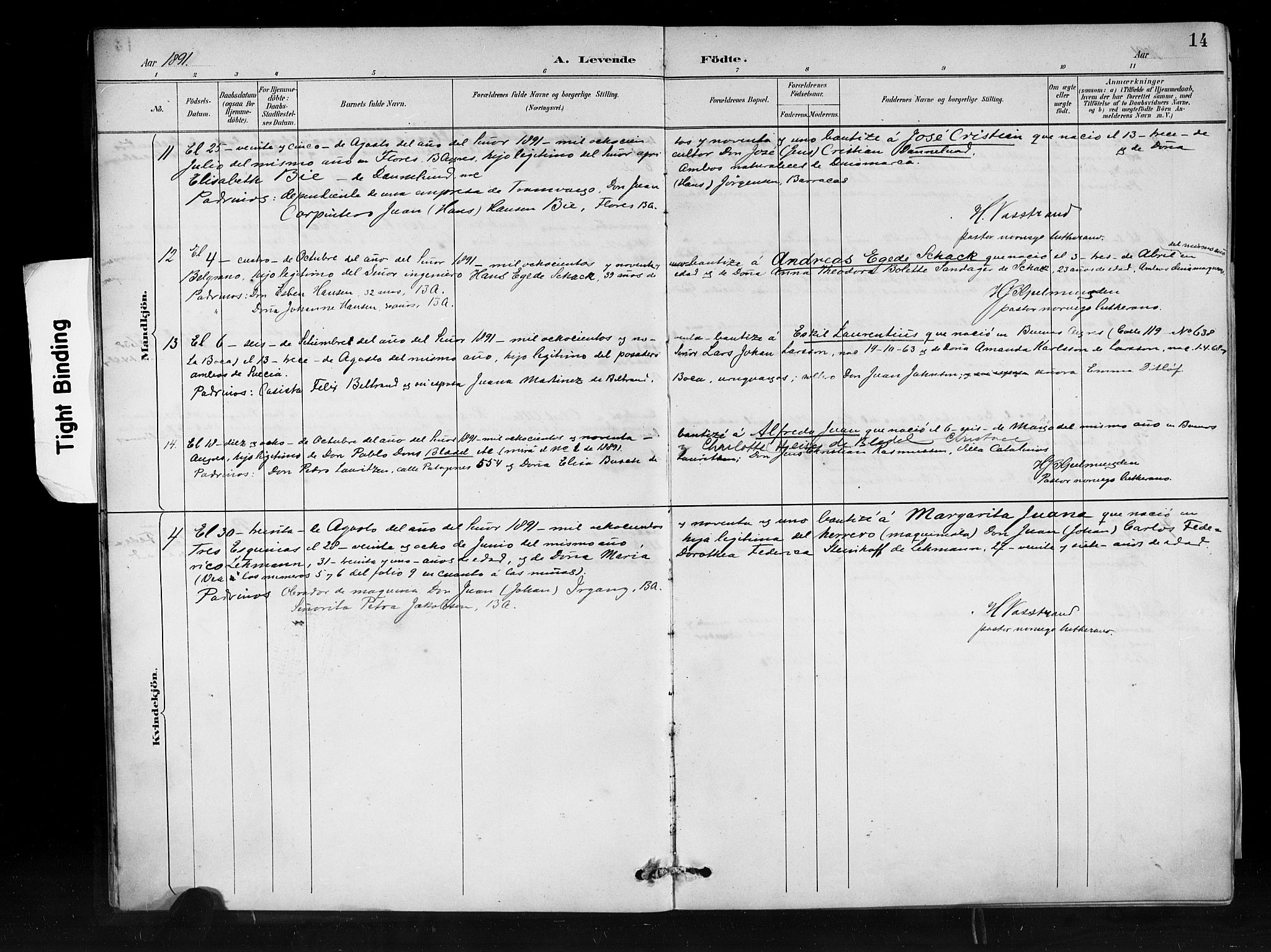 Den norske sjømannsmisjon i utlandet/Syd-Amerika (Buenos Aires m.fl.), AV/SAB-SAB/PA-0118/H/Ha/L0001: Parish register (official) no. A 1, 1888-1898, p. 14