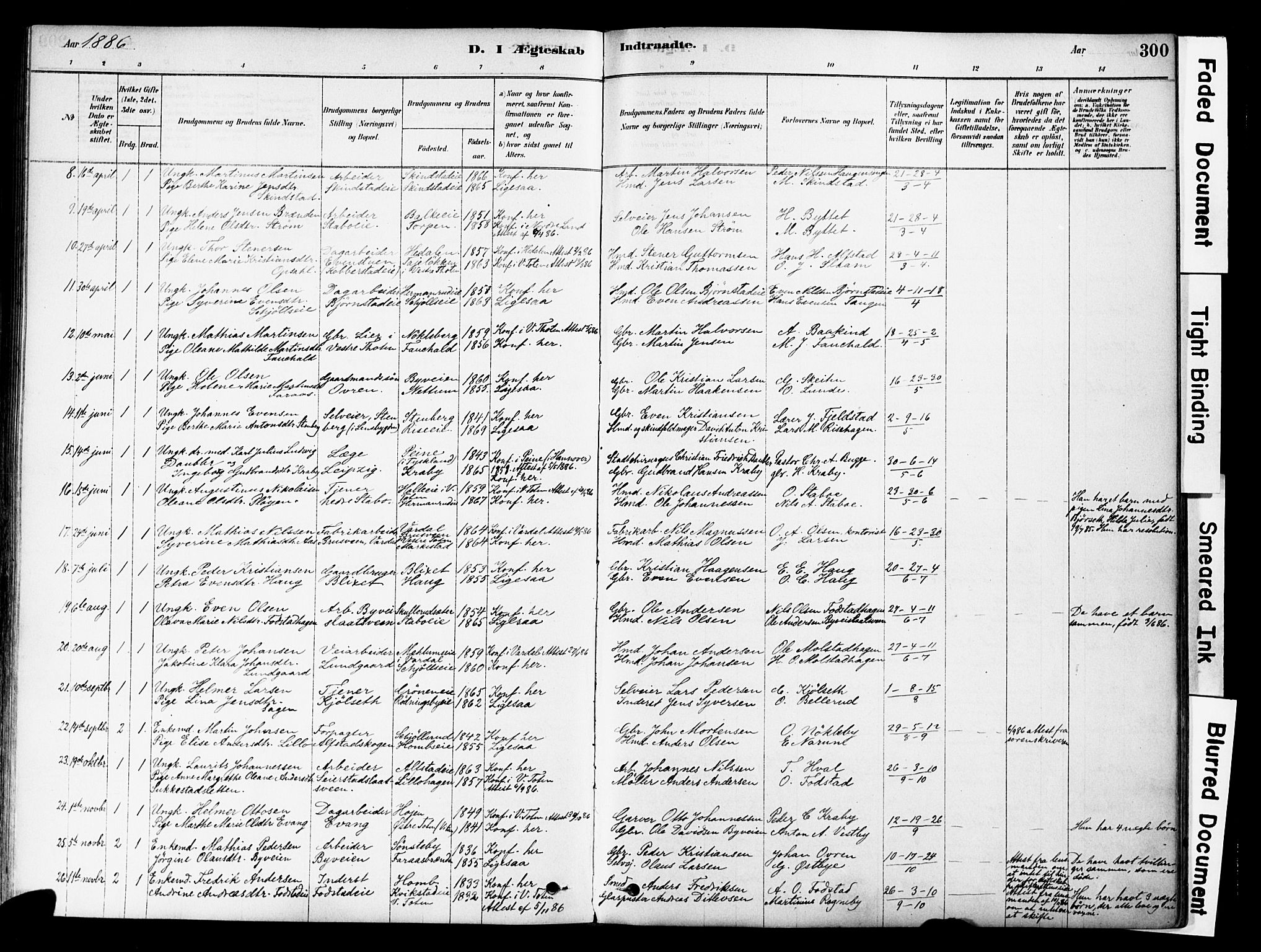 Østre Toten prestekontor, SAH/PREST-104/H/Ha/Haa/L0006: Parish register (official) no. 6 /1, 1878-1896, p. 300