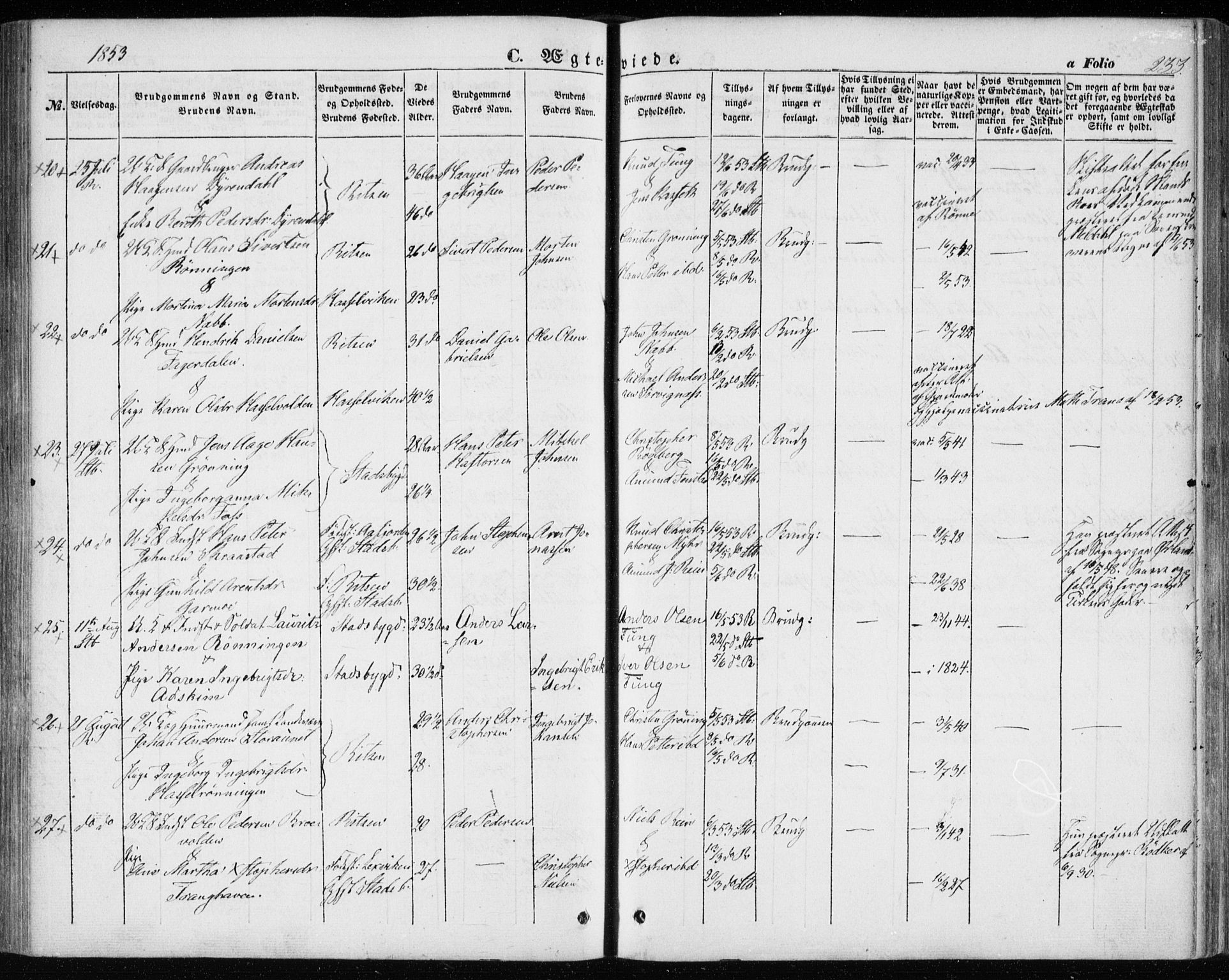 Ministerialprotokoller, klokkerbøker og fødselsregistre - Sør-Trøndelag, AV/SAT-A-1456/646/L0611: Parish register (official) no. 646A09, 1848-1857, p. 233