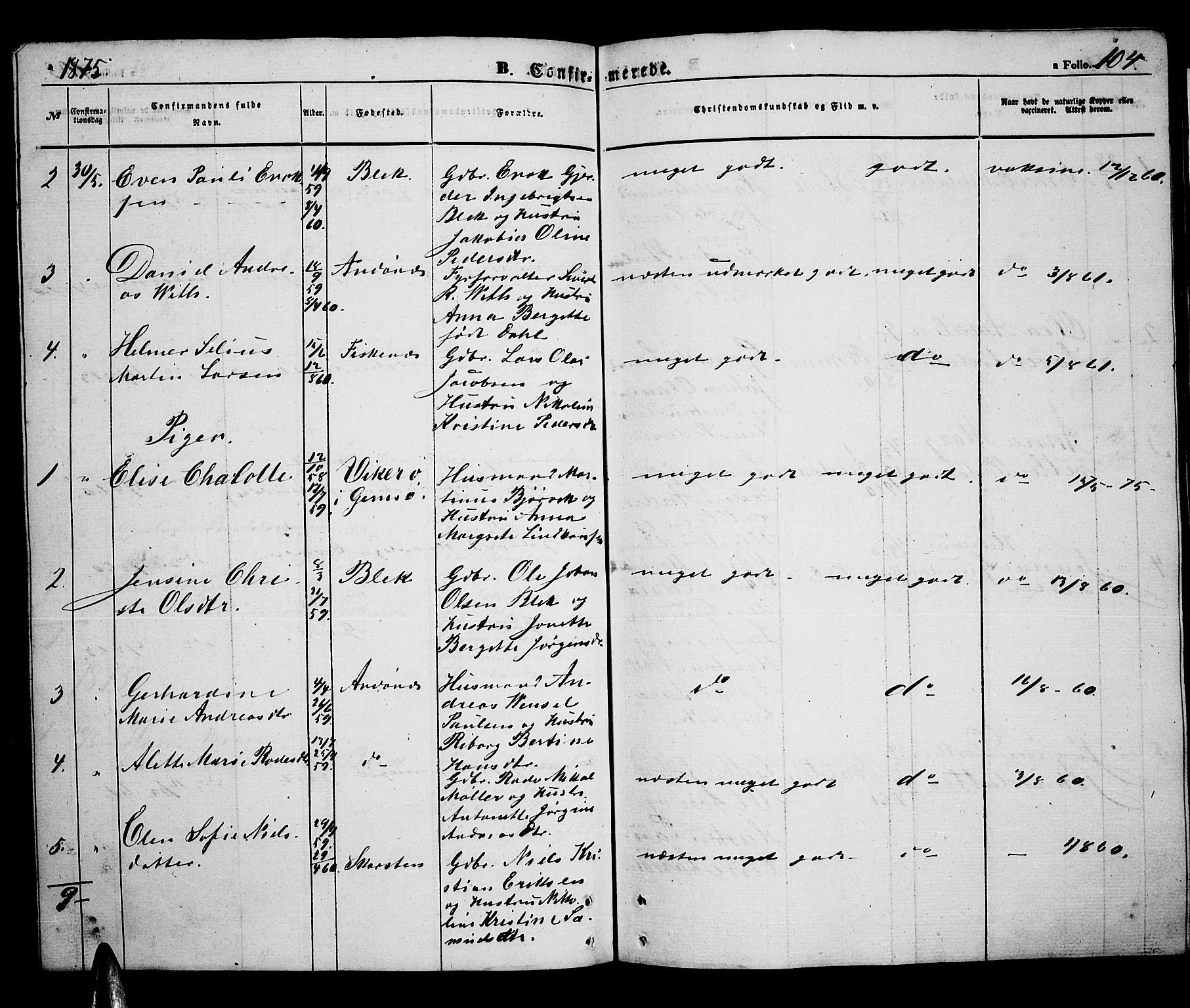 Ministerialprotokoller, klokkerbøker og fødselsregistre - Nordland, SAT/A-1459/899/L1447: Parish register (copy) no. 899C02, 1855-1886, p. 104