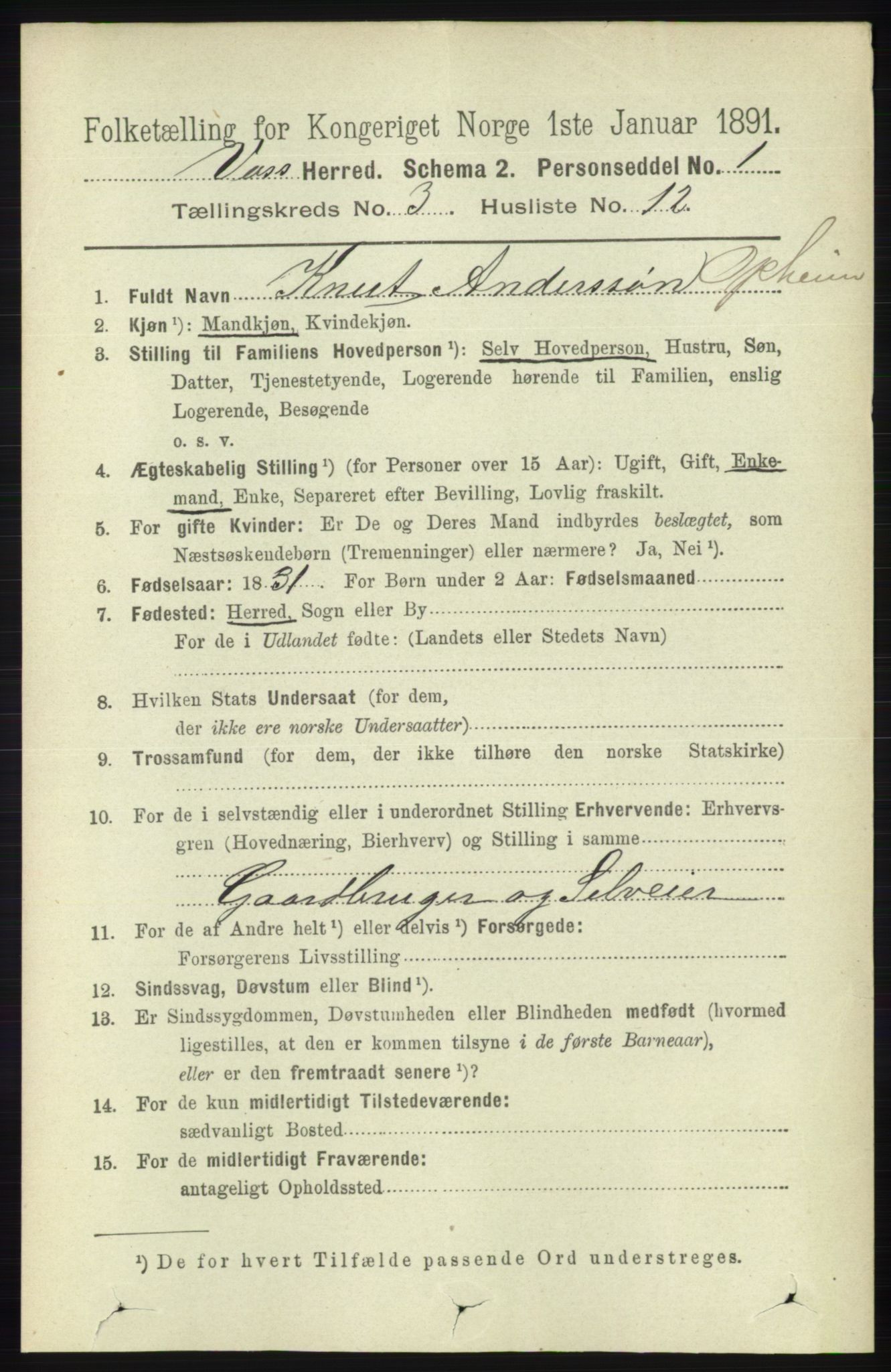 RA, 1891 census for 1235 Voss, 1891, p. 1263