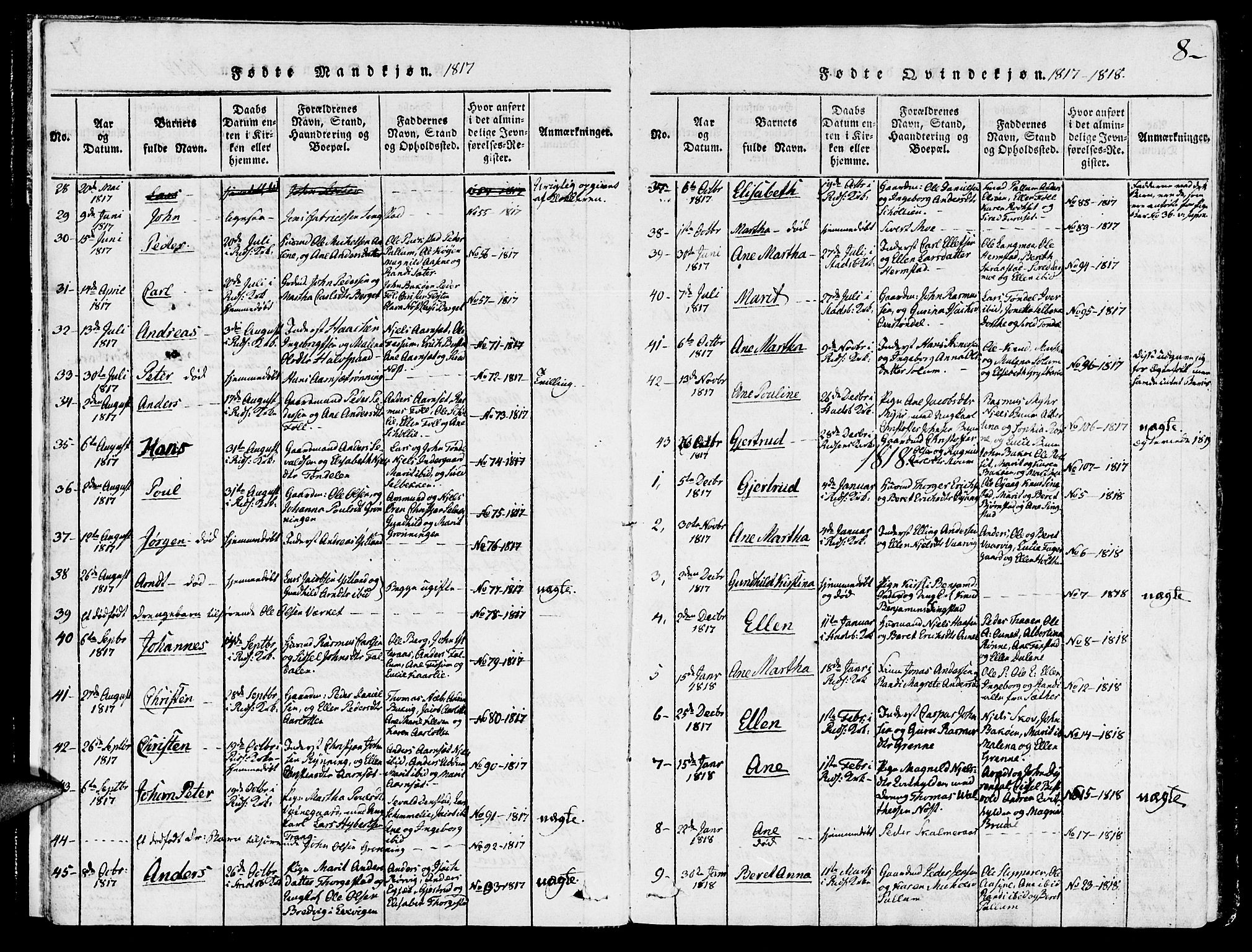 Ministerialprotokoller, klokkerbøker og fødselsregistre - Sør-Trøndelag, SAT/A-1456/646/L0608: Parish register (official) no. 646A06, 1816-1825, p. 8