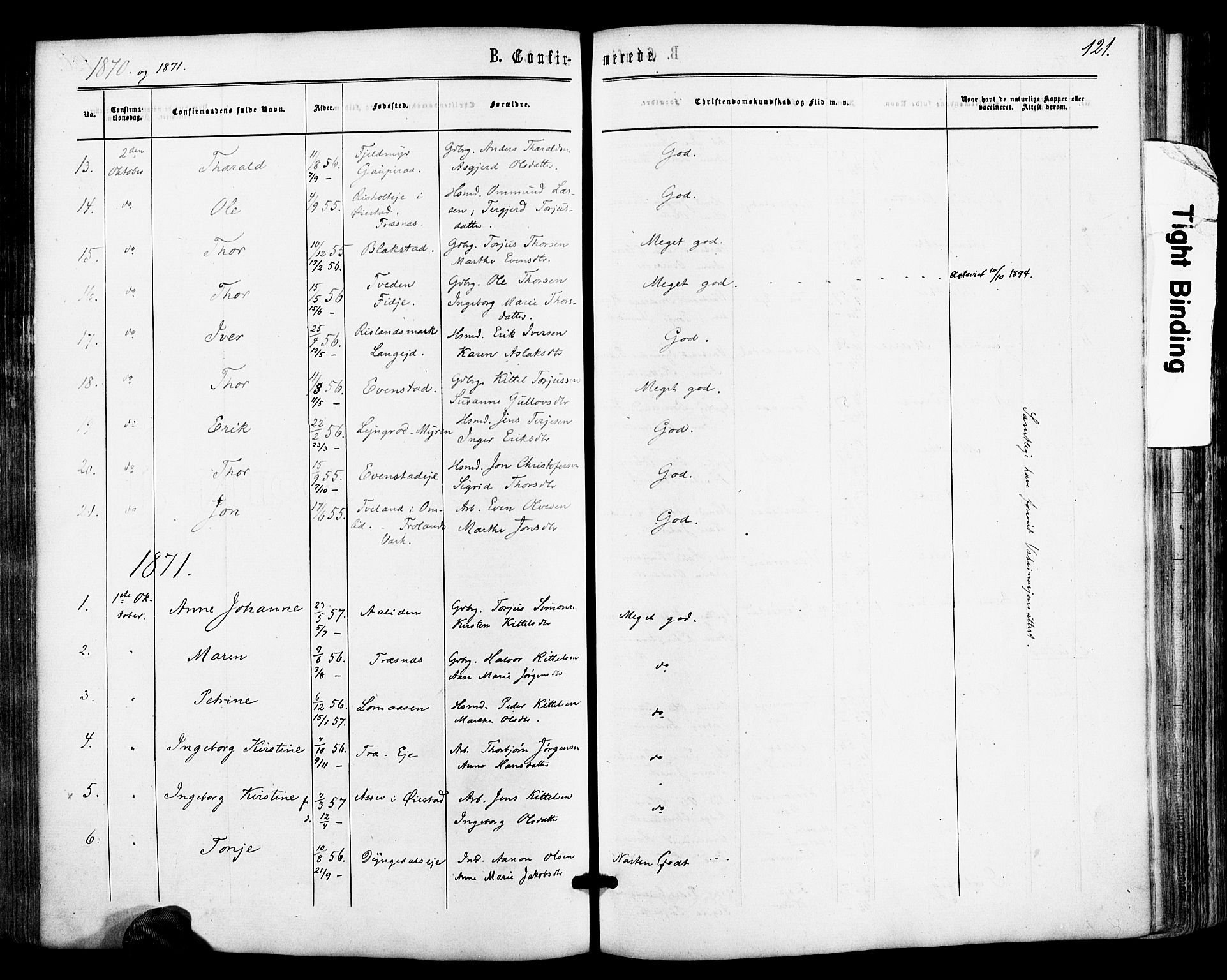 Froland sokneprestkontor, SAK/1111-0013/F/Fa/L0003: Parish register (official) no. A 3, 1864-1881, p. 121