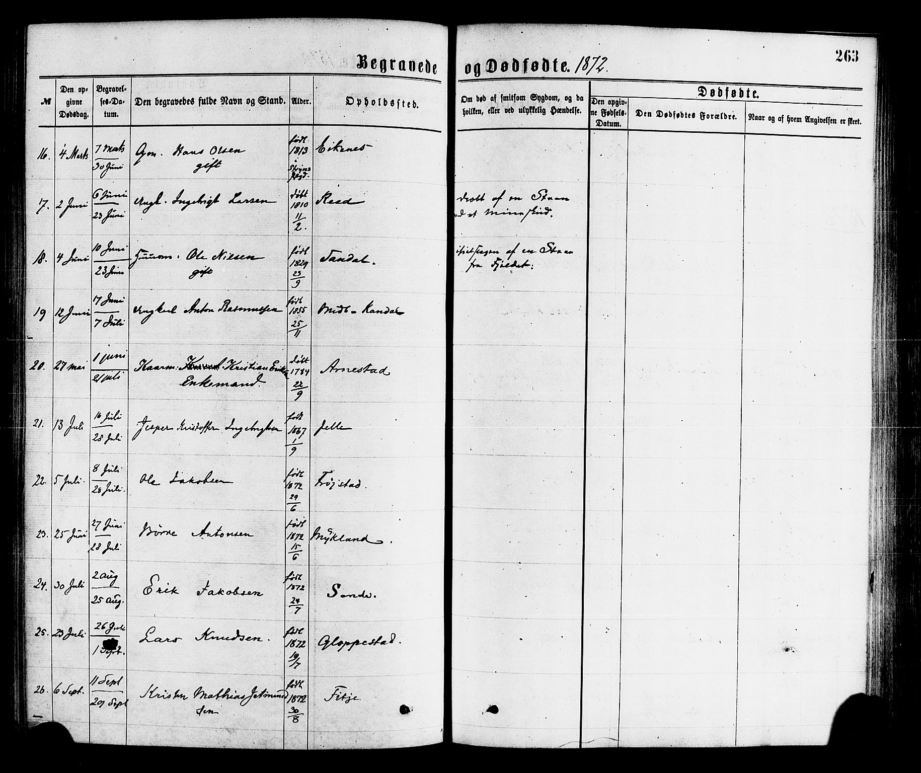 Gloppen sokneprestembete, SAB/A-80101/H/Haa/Haaa/L0010: Parish register (official) no. A 10, 1871-1884, p. 263