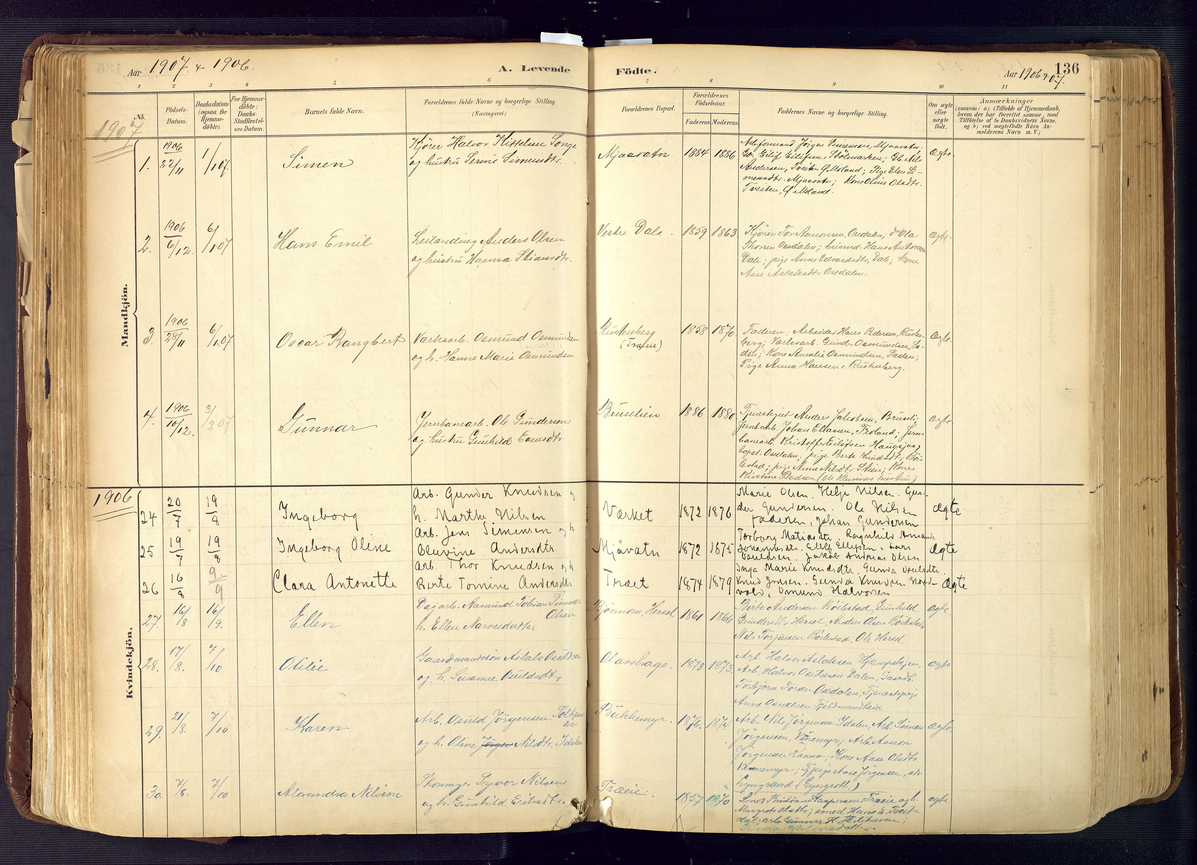 Froland sokneprestkontor, SAK/1111-0013/F/Fa/L0005: Parish register (official) no. A 5, 1882-1921, p. 136