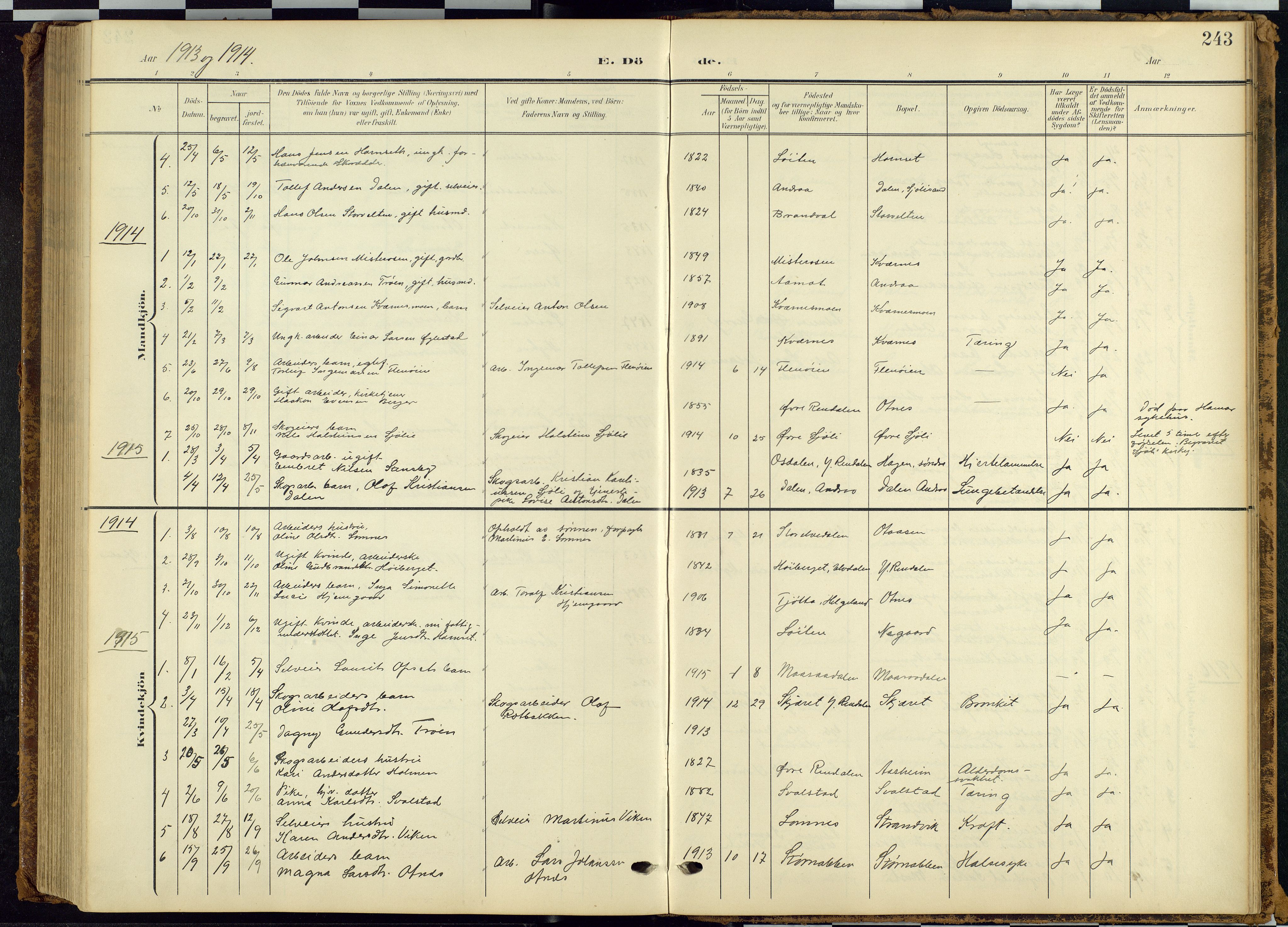 Rendalen prestekontor, SAH/PREST-054/H/Ha/Hab/L0010: Parish register (copy) no. 10, 1903-1940, p. 243