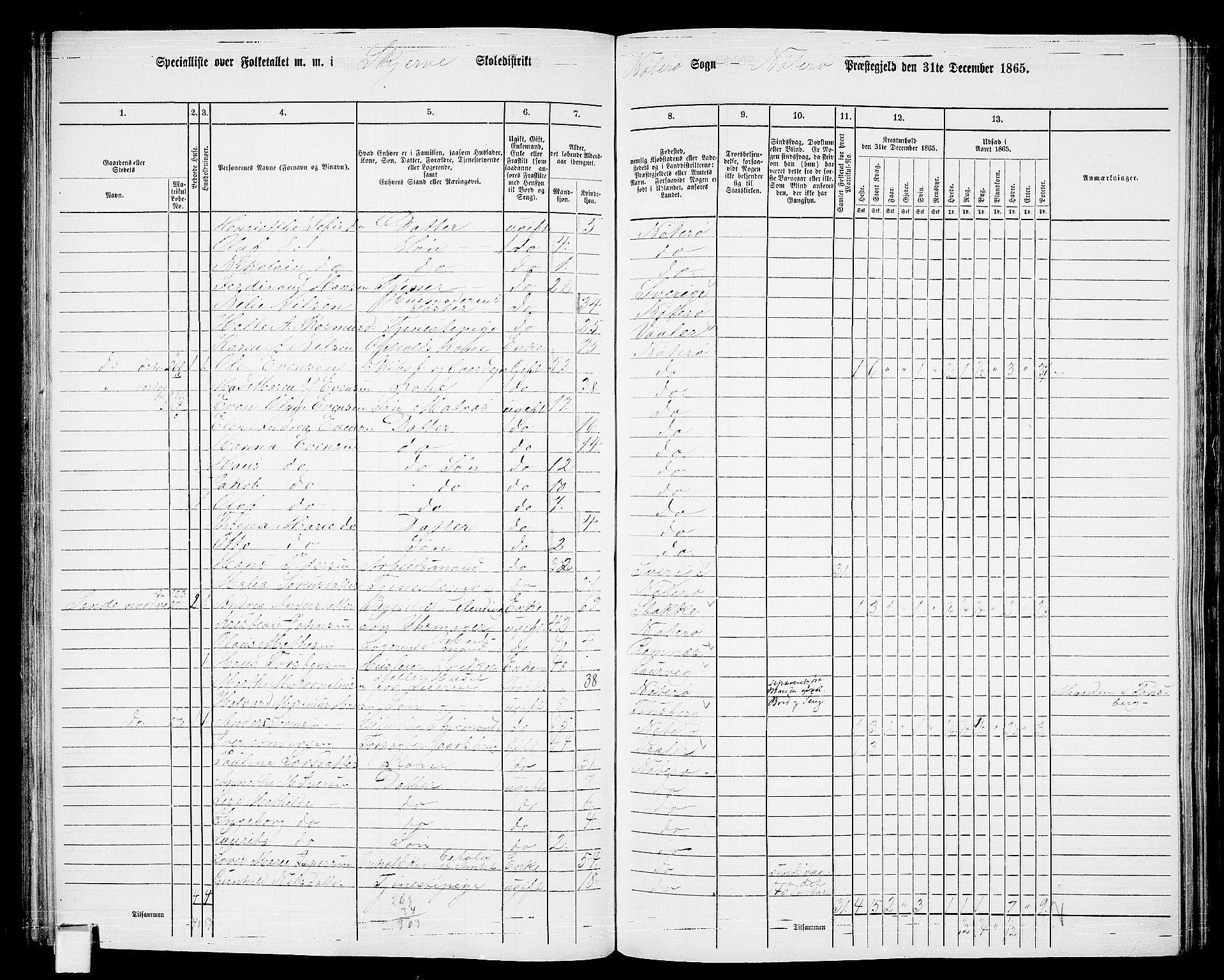 RA, 1865 census for Nøtterøy, 1865, p. 147