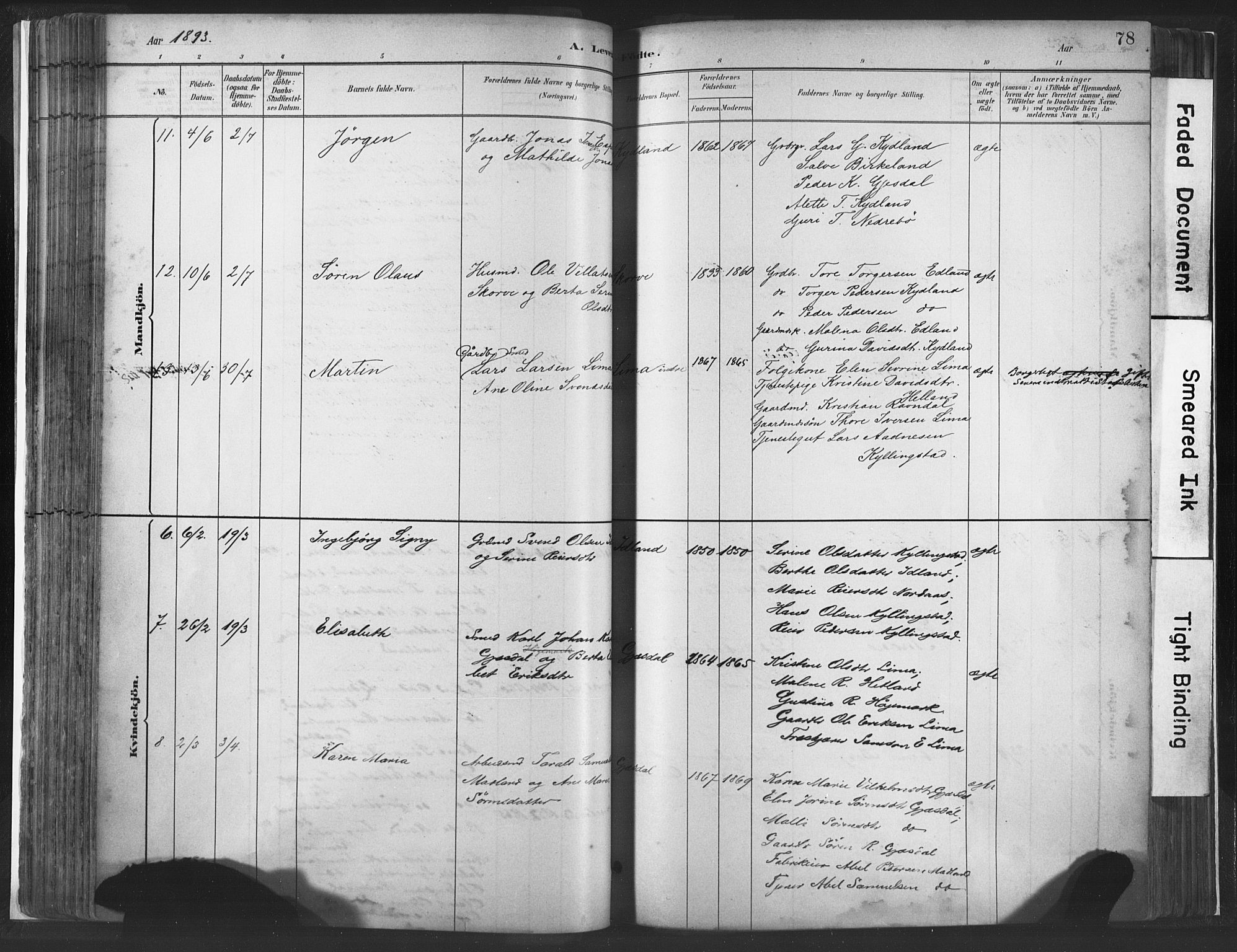 Lye sokneprestkontor, AV/SAST-A-101794/001/30BA/L0010: Parish register (official) no. A 10, 1881-1896, p. 78