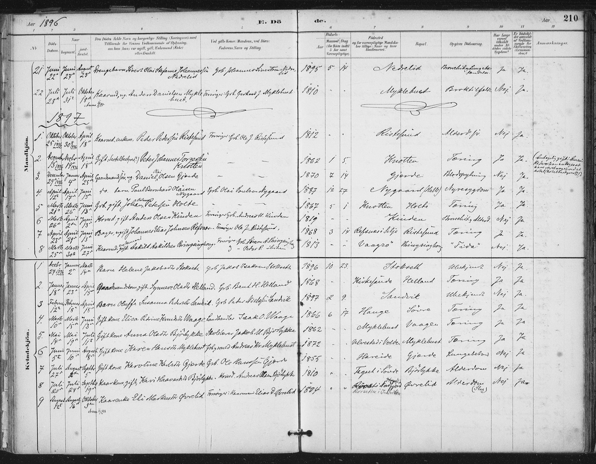 Ministerialprotokoller, klokkerbøker og fødselsregistre - Møre og Romsdal, SAT/A-1454/503/L0037: Parish register (official) no. 503A05, 1884-1900, p. 210
