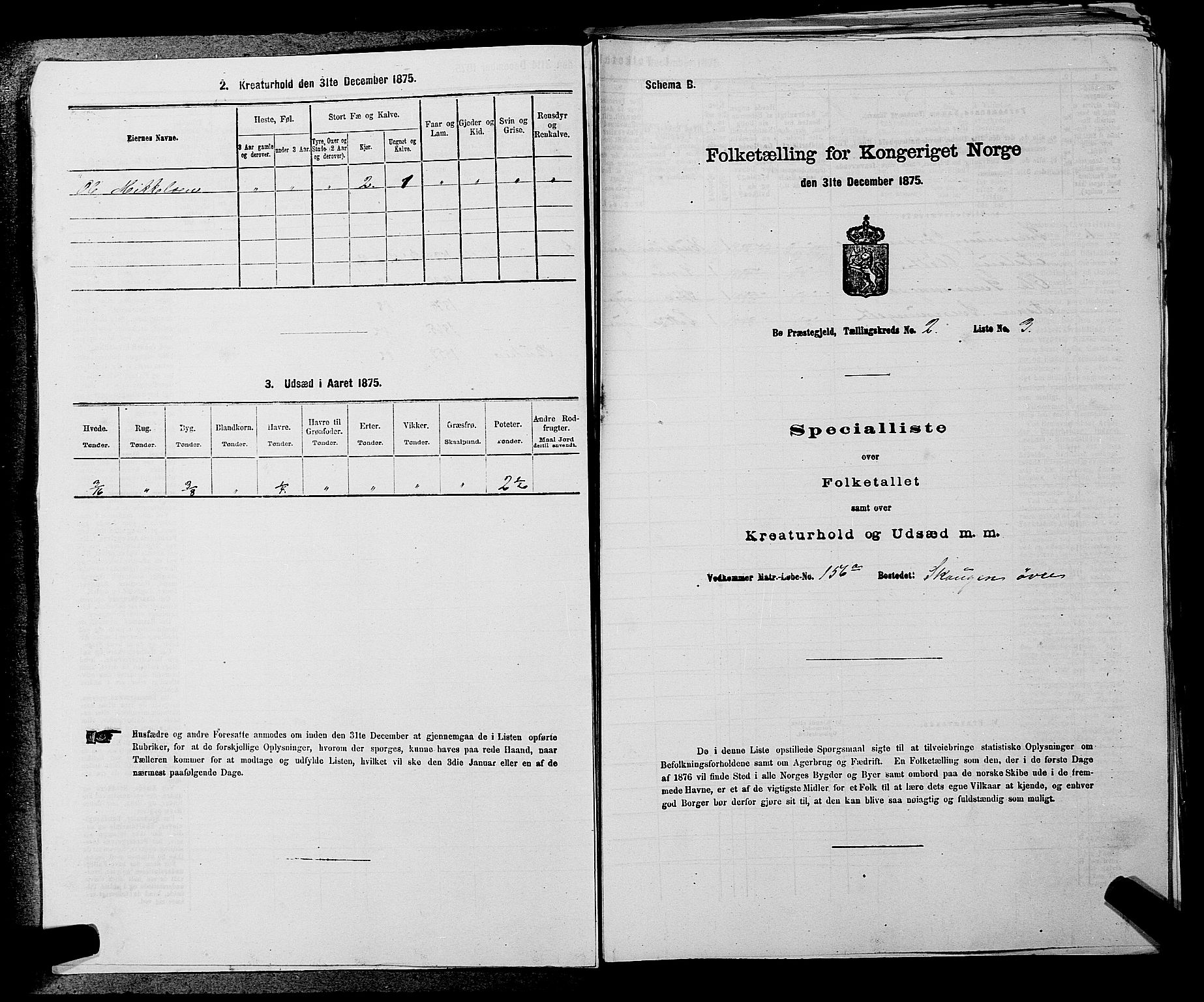 SAKO, 1875 census for 0821P Bø, 1875, p. 138