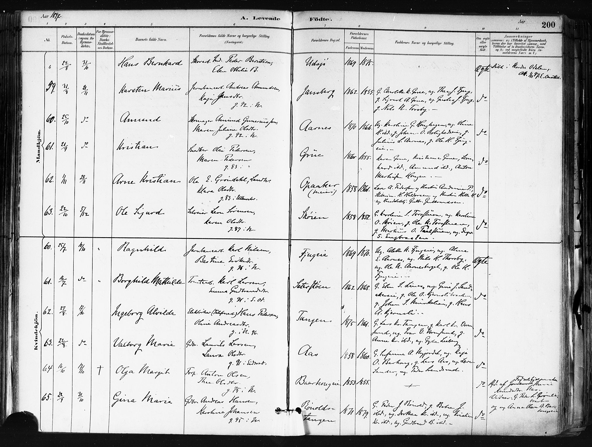 Nes prestekontor Kirkebøker, AV/SAO-A-10410/F/Fa/L0010: Parish register (official) no. I 10, 1883-1898, p. 200