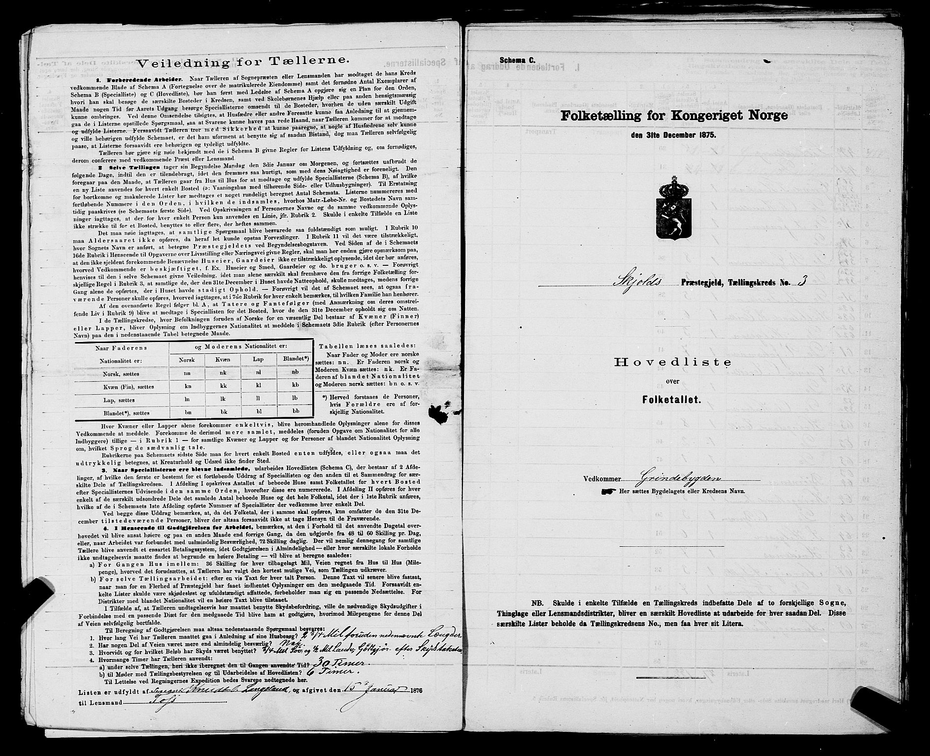 SAST, 1875 census for 1154P Skjold, 1875, p. 8