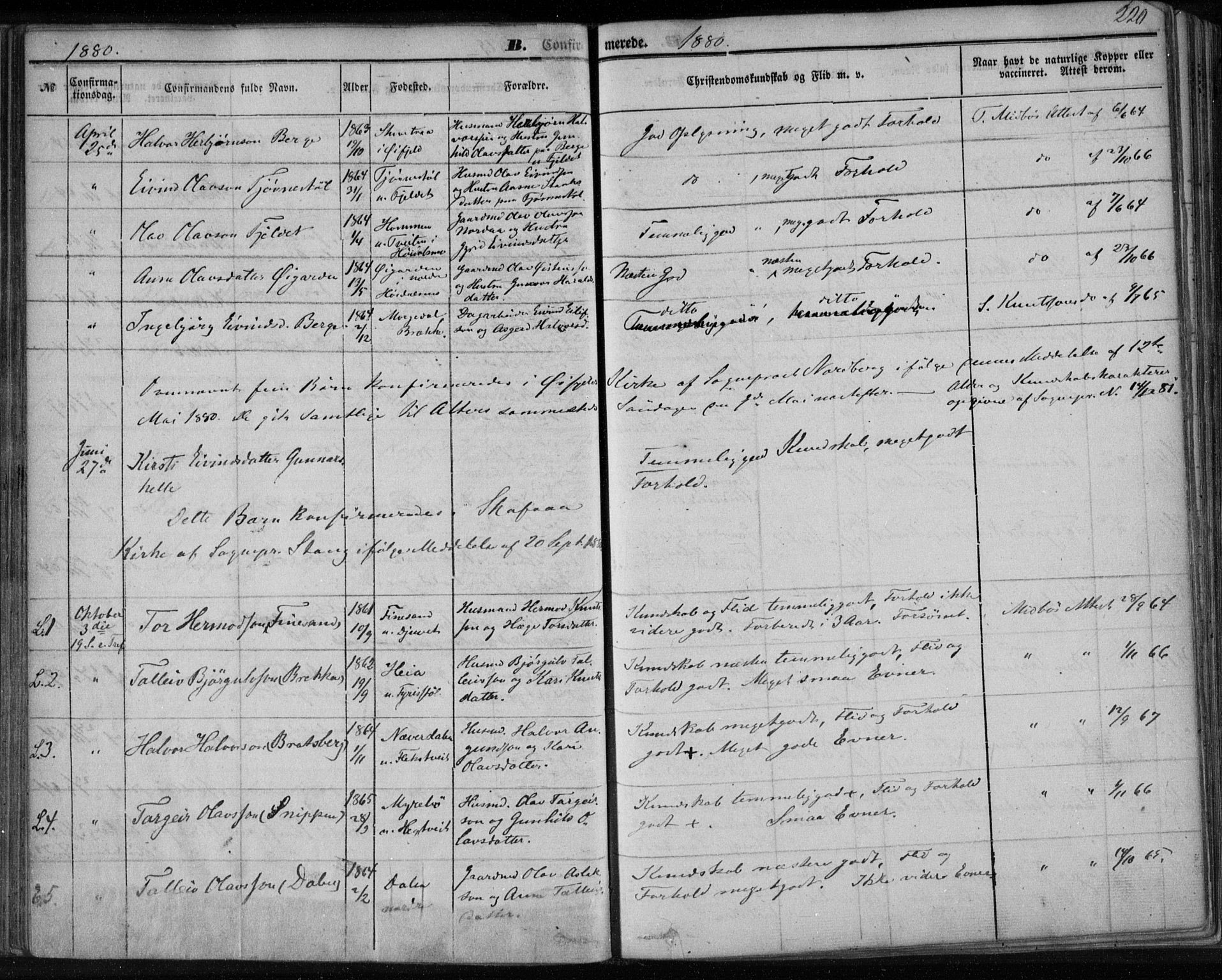 Lårdal kirkebøker, SAKO/A-284/F/Fa/L0006: Parish register (official) no. I 6, 1861-1886, p. 220
