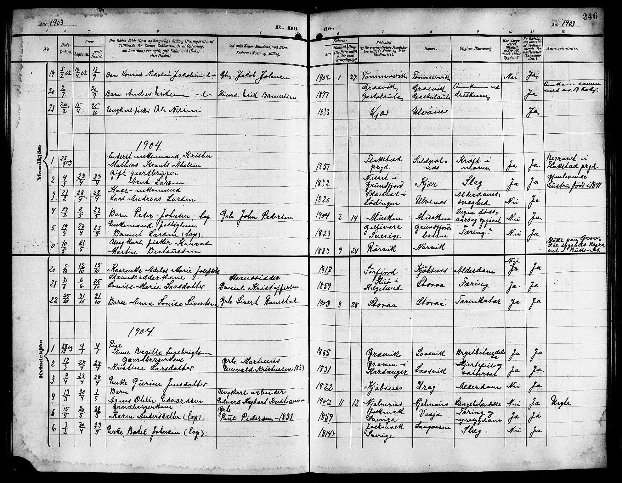 Ministerialprotokoller, klokkerbøker og fødselsregistre - Nordland, AV/SAT-A-1459/861/L0877: Parish register (copy) no. 861C03, 1903-1919, p. 246
