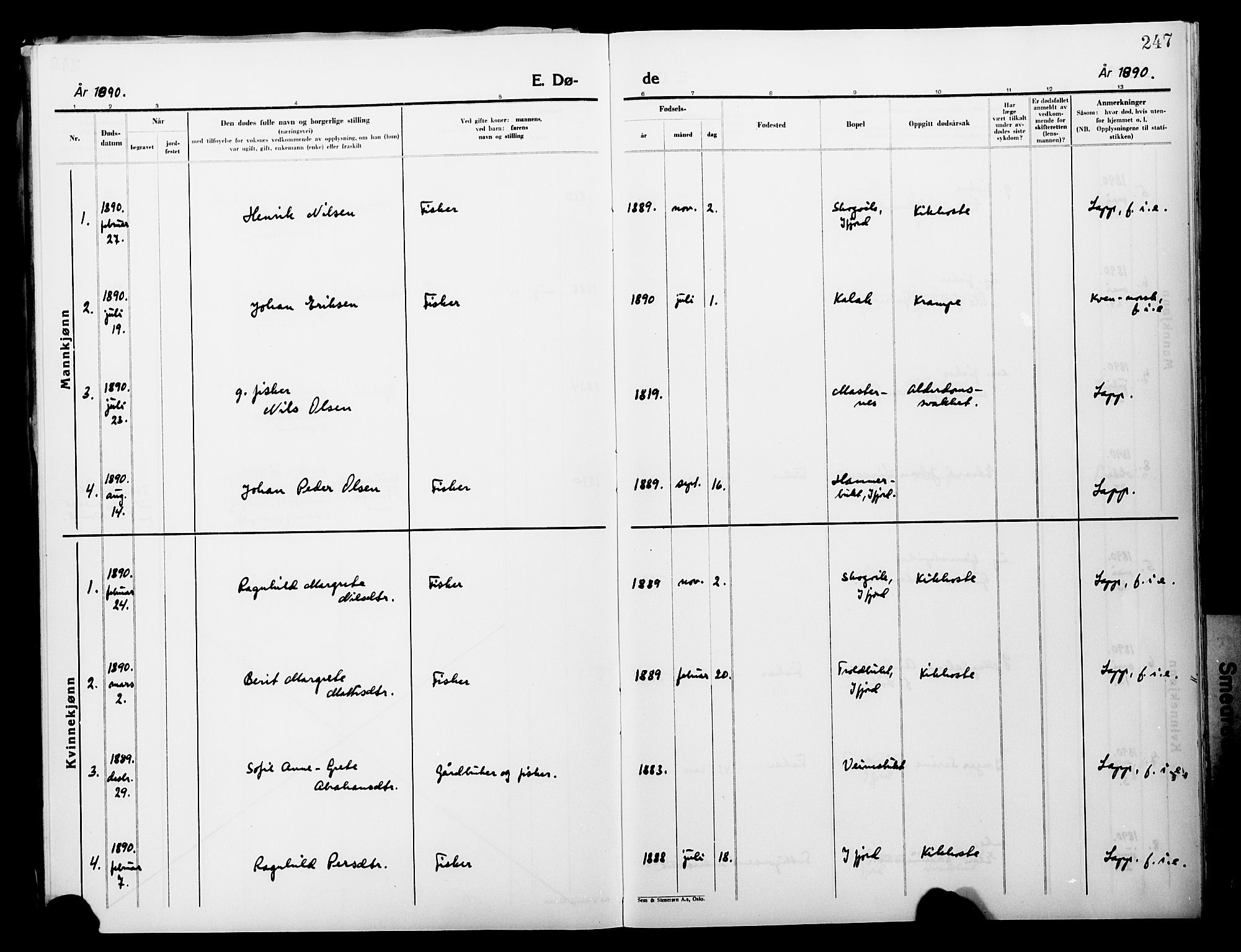 Lebesby sokneprestkontor, SATØ/S-1353/H/Ha/L0004kirke: Parish register (official) no. 4, 1870-1902, p. 247