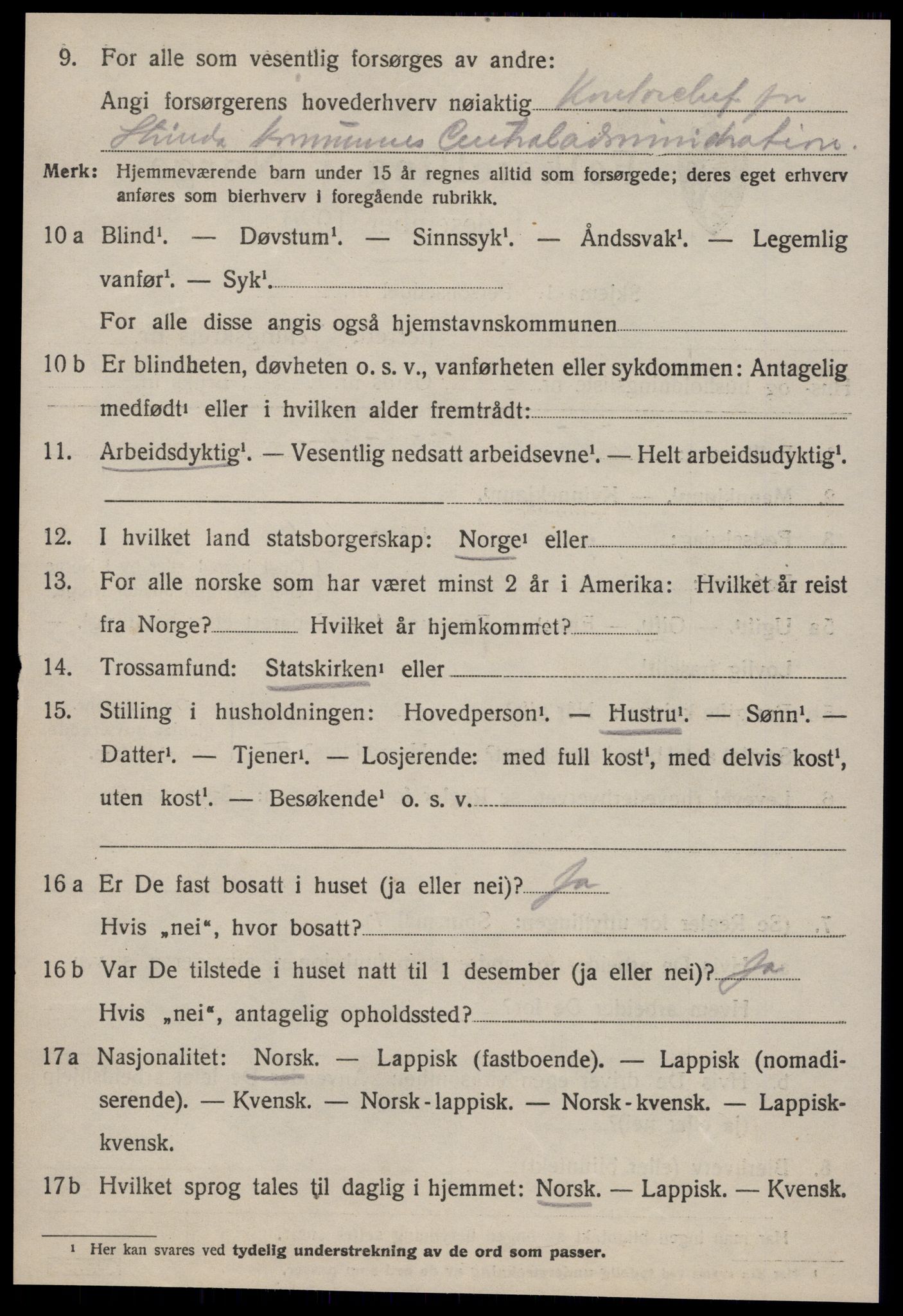 SAT, 1920 census for Strinda, 1920, p. 16909