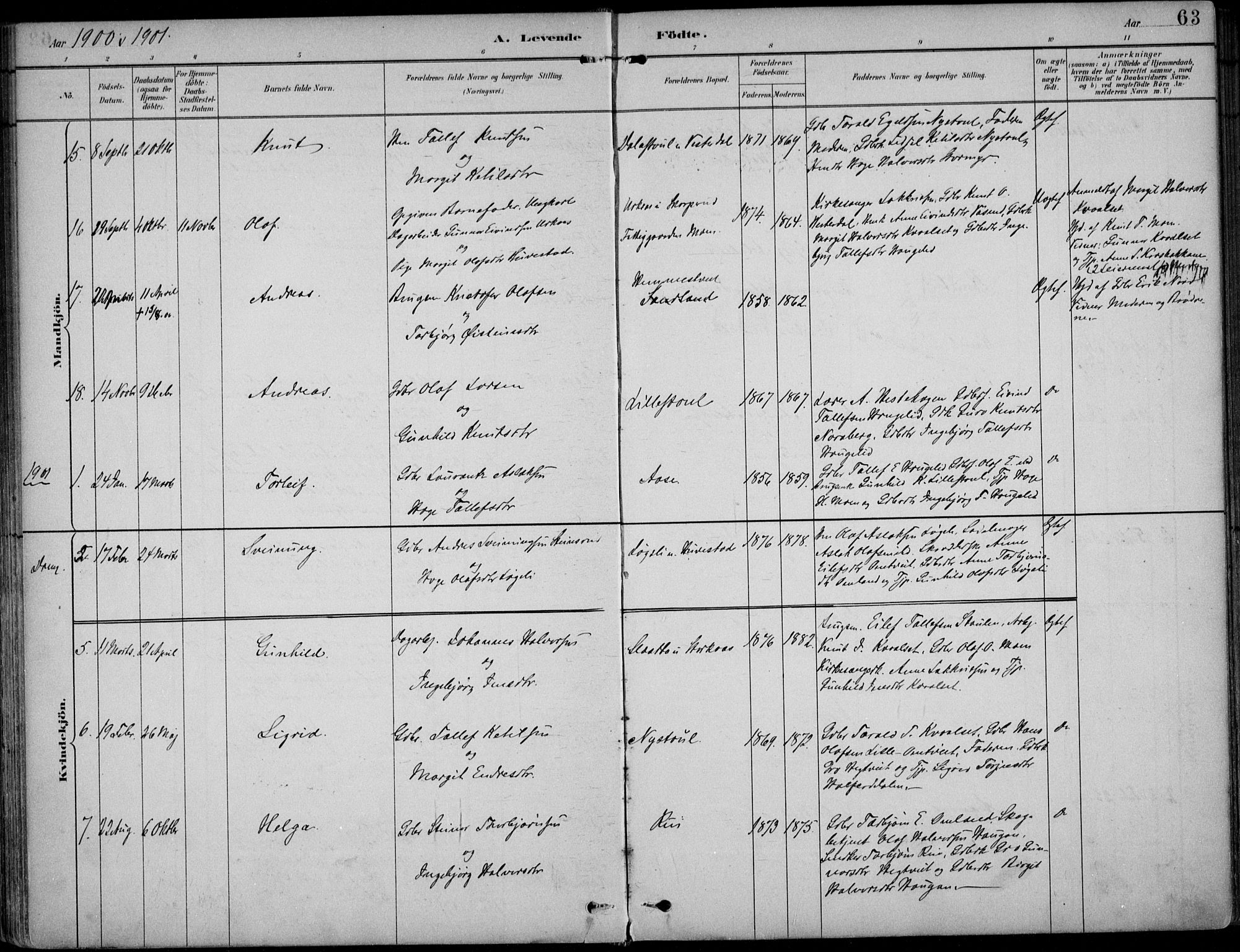 Kviteseid kirkebøker, AV/SAKO-A-276/F/Fb/L0002: Parish register (official) no. II 2, 1882-1916, p. 63