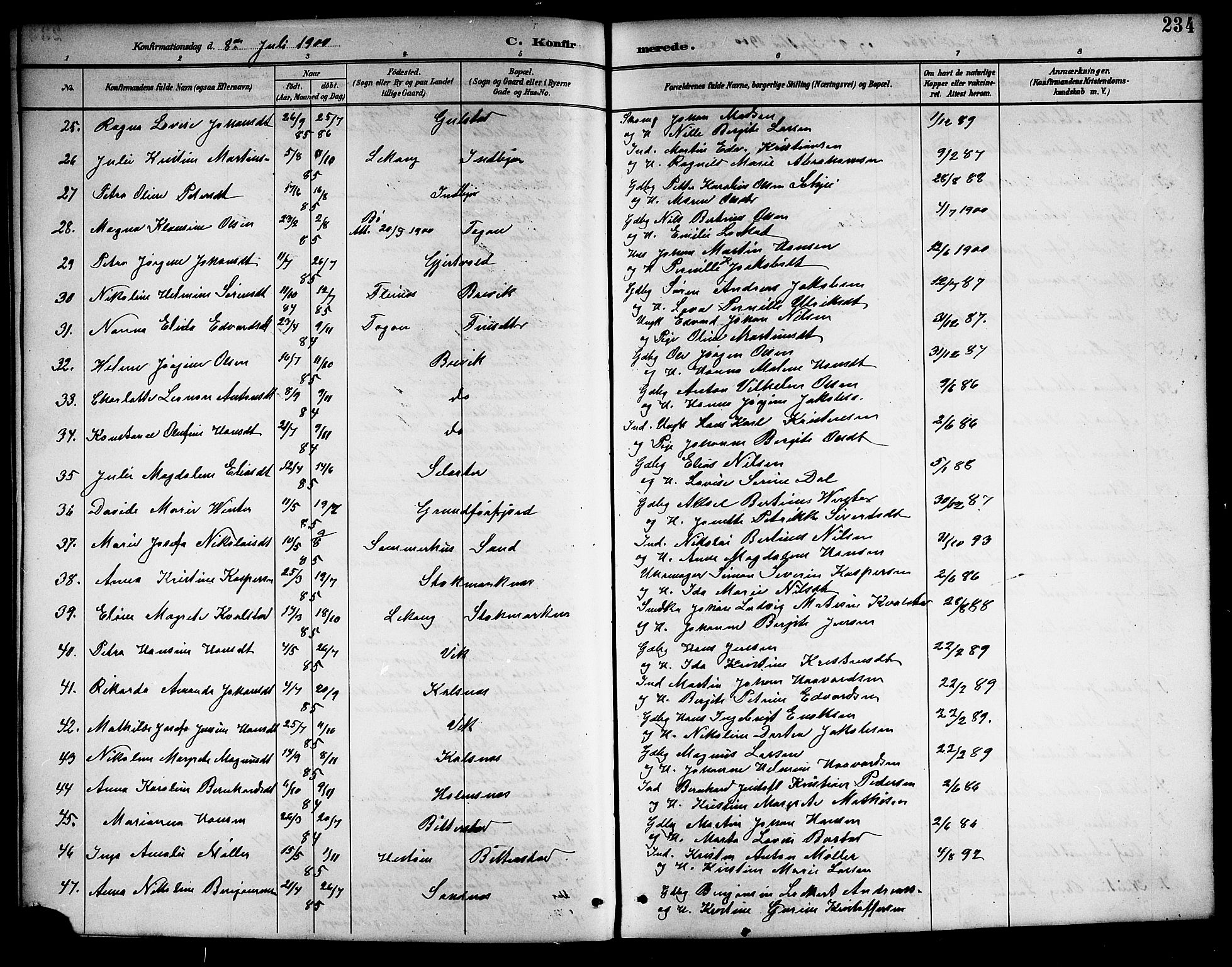 Ministerialprotokoller, klokkerbøker og fødselsregistre - Nordland, AV/SAT-A-1459/888/L1268: Parish register (copy) no. 888C06, 1891-1908, p. 234