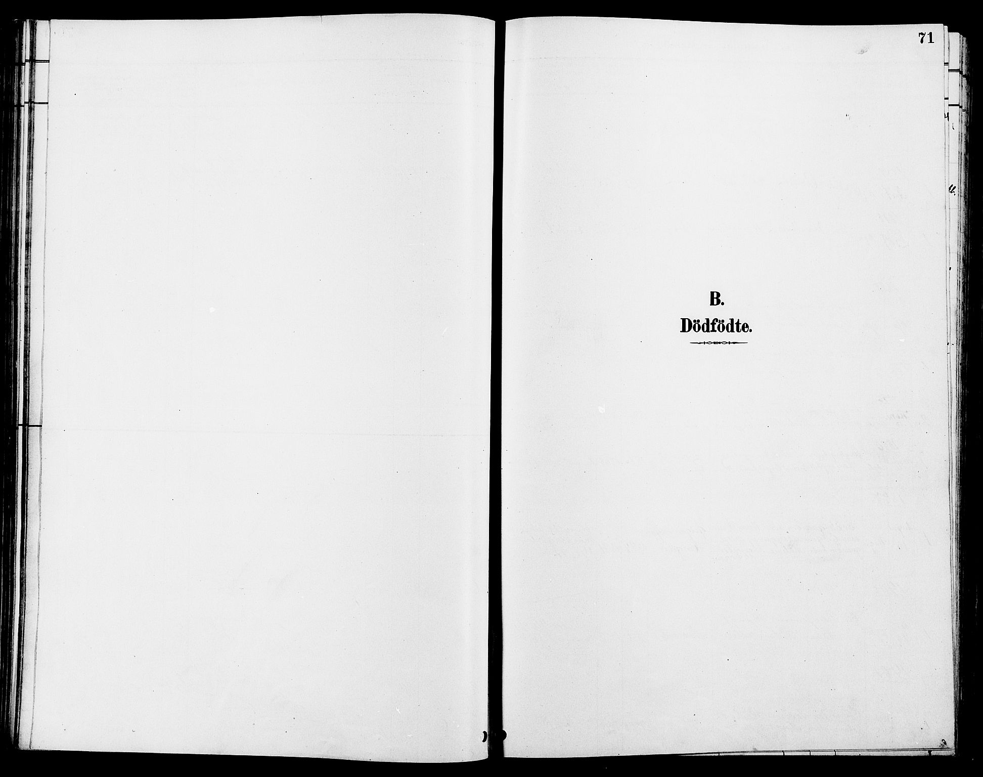 Tolga prestekontor, SAH/PREST-062/L/L0008: Parish register (copy) no. 8, 1887-1912, p. 71