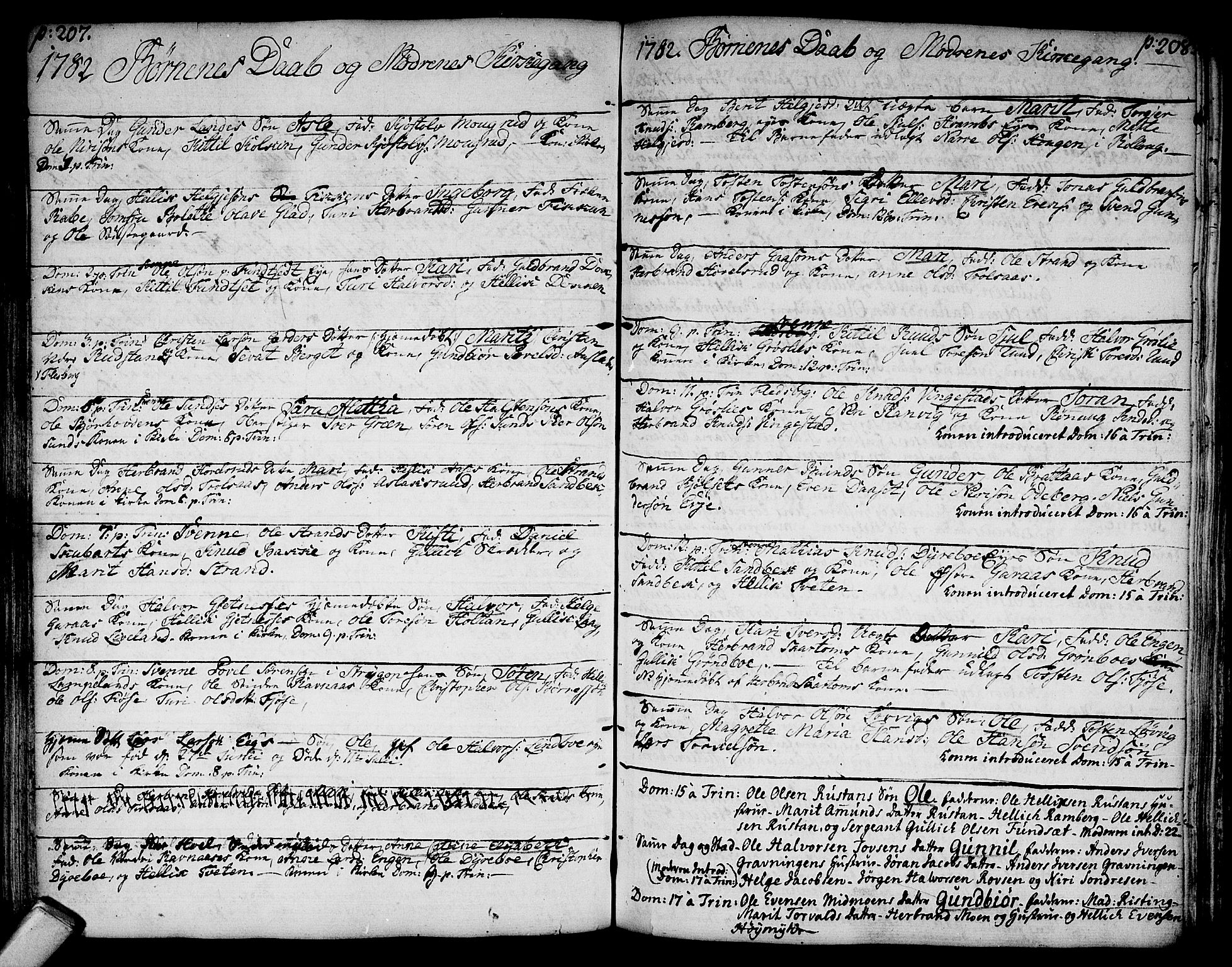 Flesberg kirkebøker, AV/SAKO-A-18/F/Fa/L0003: Parish register (official) no. I 3, 1748-1790, p. 207-208