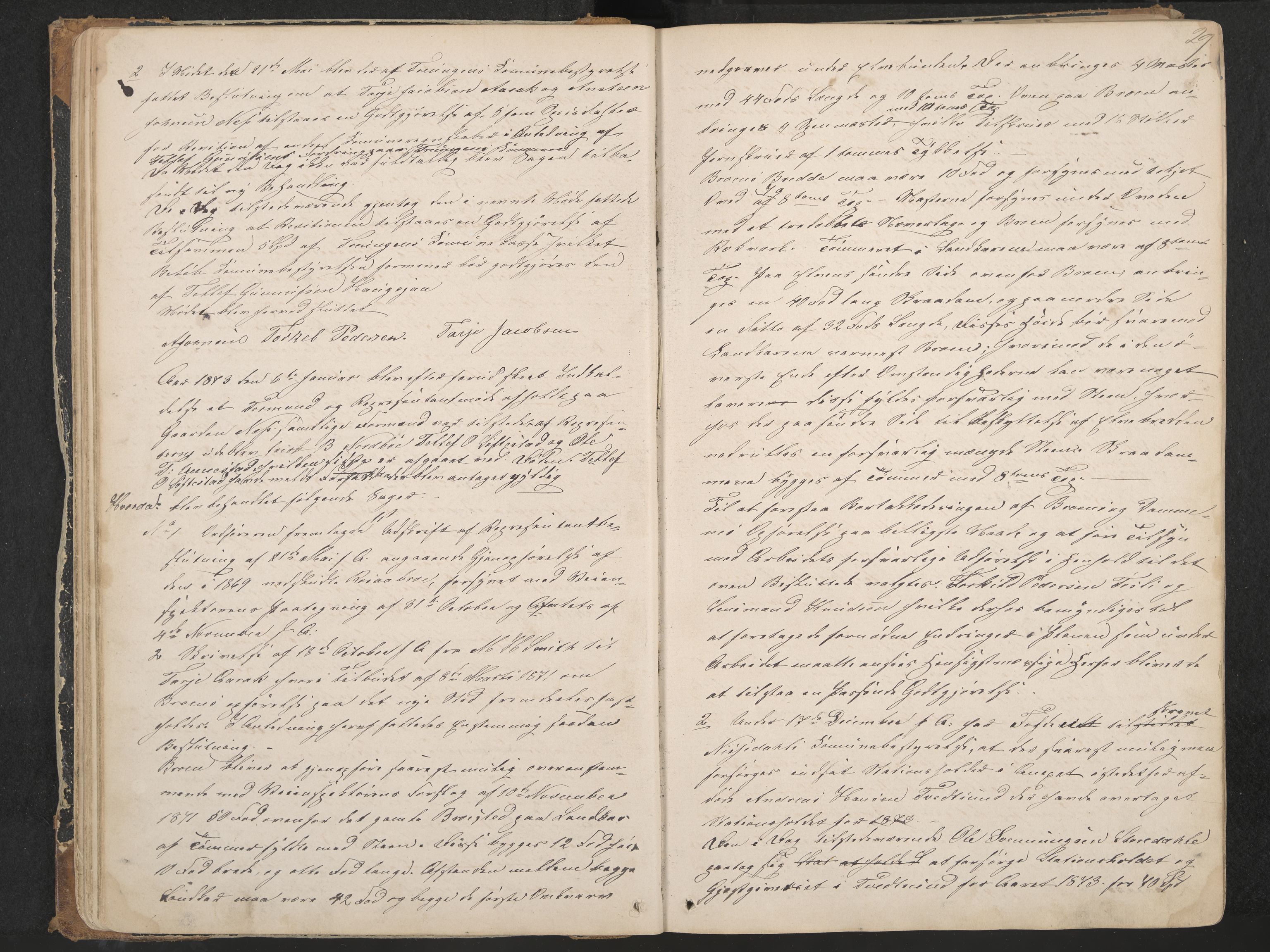 Nissedal formannskap og sentraladministrasjon, IKAK/0830021-1/A/L0002: Møtebok, 1870-1892, p. 29