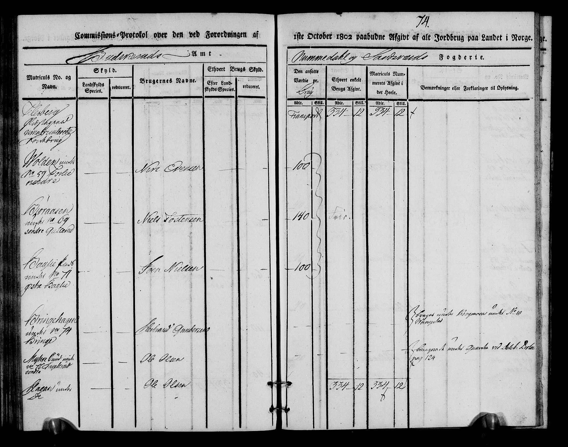 Rentekammeret inntil 1814, Realistisk ordnet avdeling, AV/RA-EA-4070/N/Ne/Nea/L0055: Numedal og Sandsvær fogderi. Kommisjonsprotokoll for Flesberg prestegjeld, 1803, p. 75