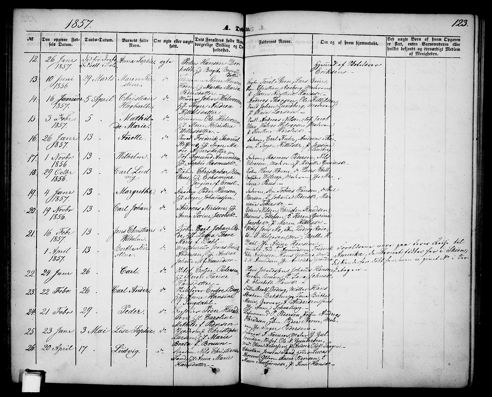 Skien kirkebøker, SAKO/A-302/G/Ga/L0004: Parish register (copy) no. 4, 1843-1867, p. 123