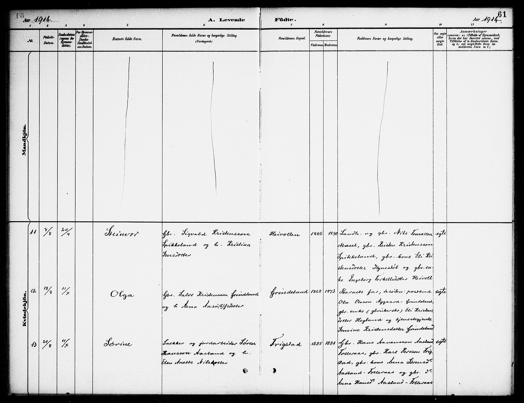 Bjelland sokneprestkontor, AV/SAK-1111-0005/F/Fa/Fab/L0004: Parish register (official) no. A 4, 1887-1920, p. 61