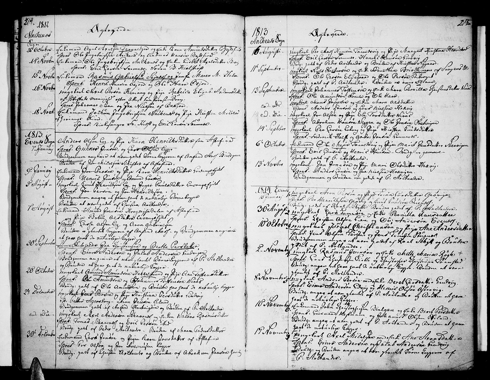 Ministerialprotokoller, klokkerbøker og fødselsregistre - Nordland, SAT/A-1459/863/L0893: Parish register (official) no. 863A05, 1794-1821, p. 214-215